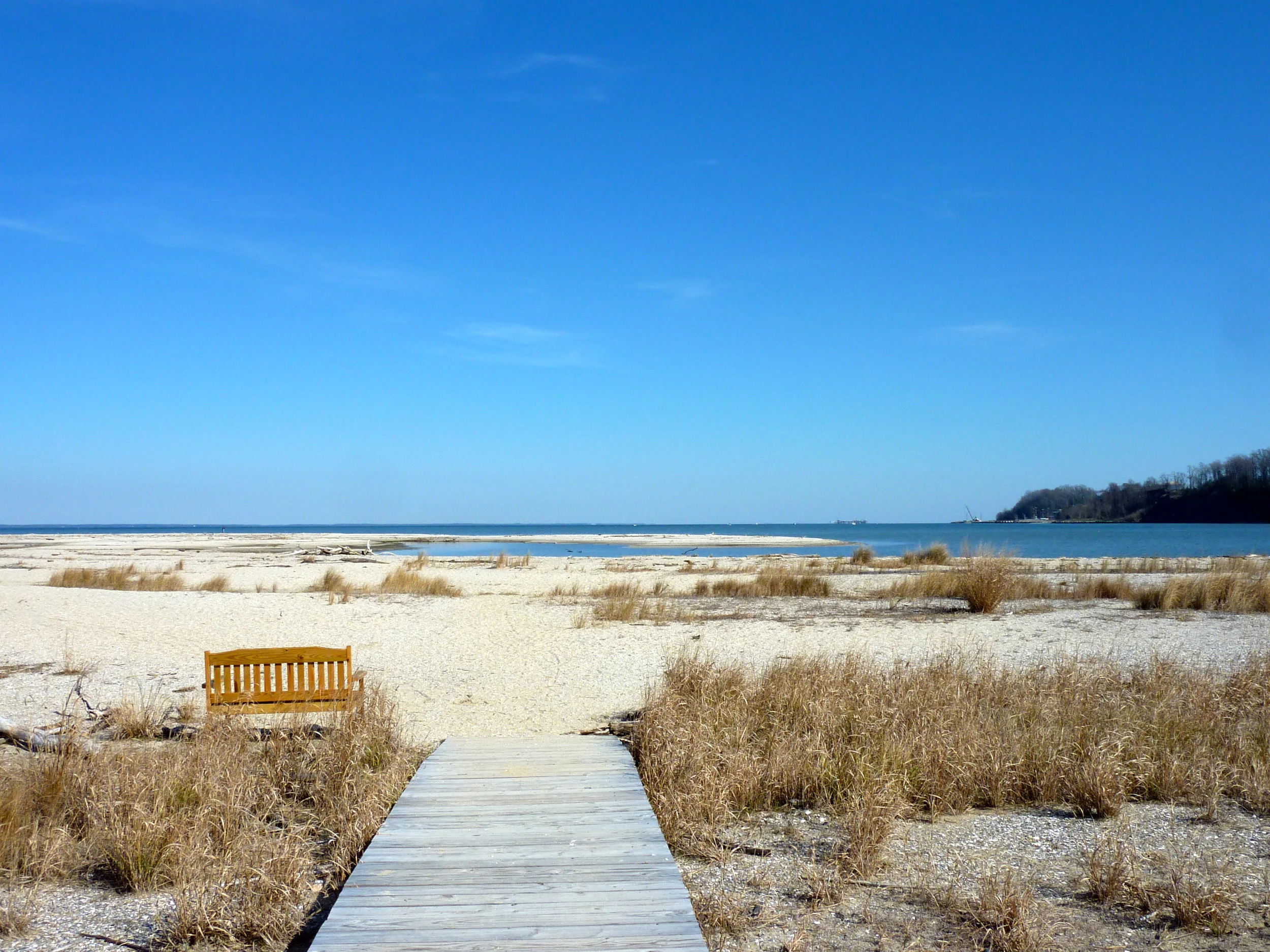 Flag-Ponds-Beach.jpg