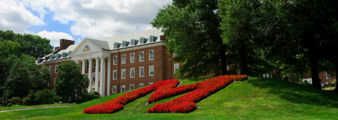 umd.png