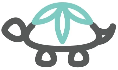 turtle2.jpg