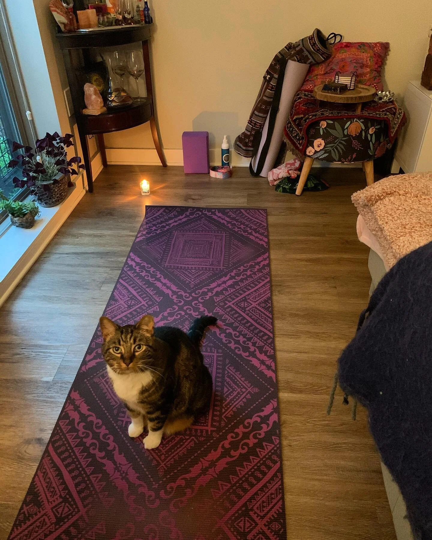 Hi everyone! My name is Olivia (@olivialeww) and I&rsquo;m excited to take over the Numi Instagram for the week! ✨🙏

I have been practicing yoga for over 7 years now, and 2 years with Numi since I first moved to College Park, MD. Yoga is a huge part