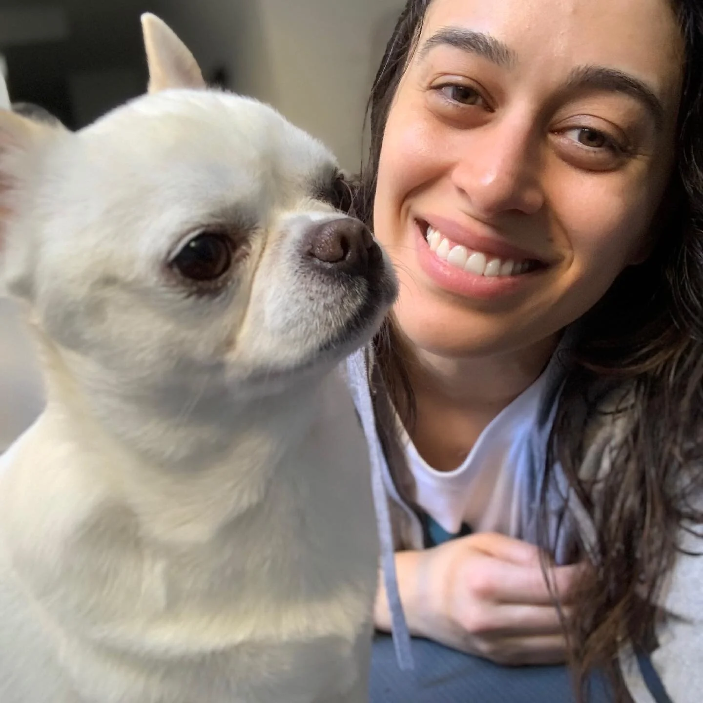 Good morning everyone! I&rsquo;m Bruna (@msbruna_p) and this is my trusted companion Larry (@chiLarry_d). I&rsquo;m excited to take over the Numi handle this week! 

Here&rsquo;s a little bit about me: 
I&rsquo;m a true blue native Marylander (born, 