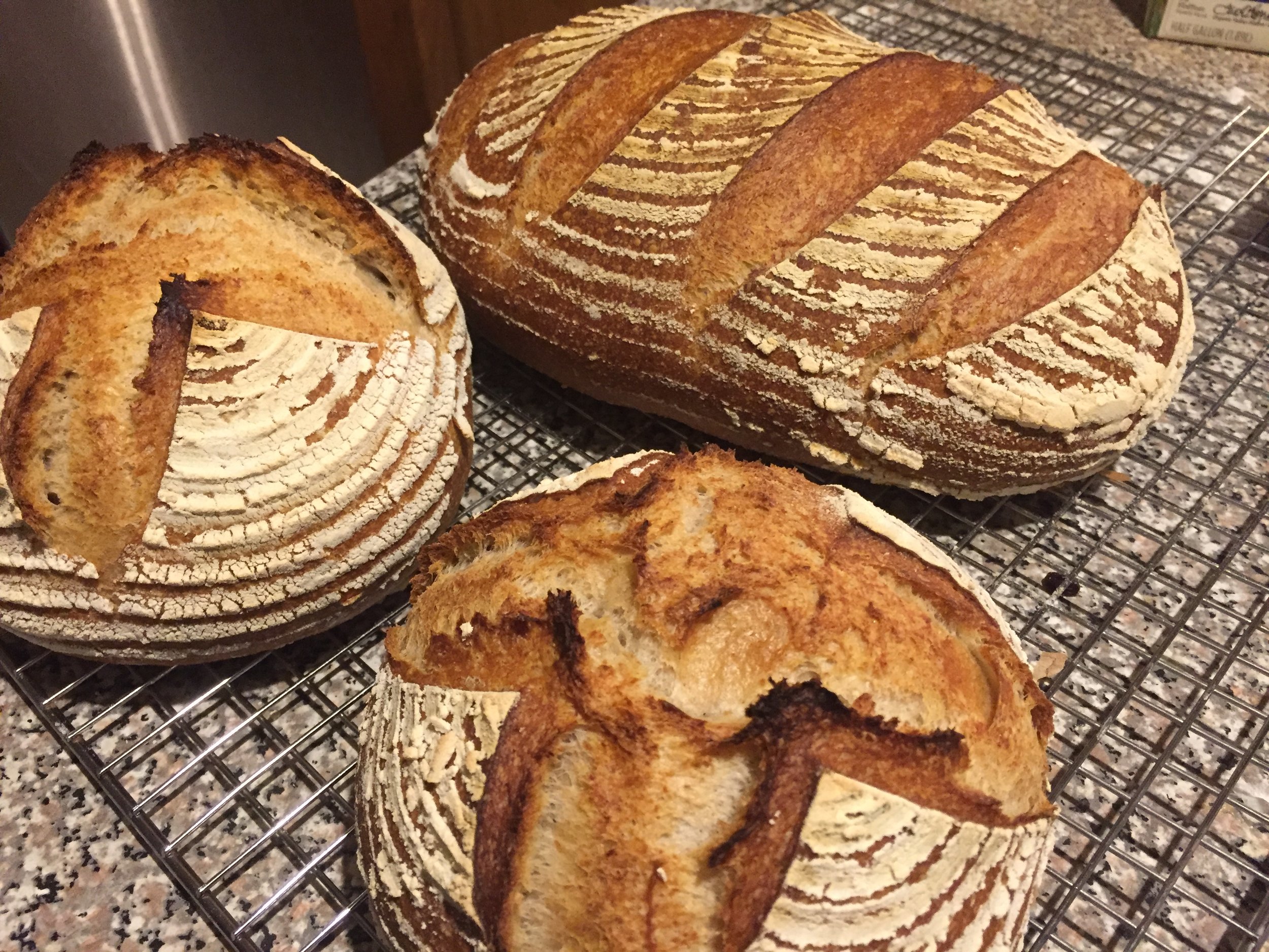 Parade of breads.JPG