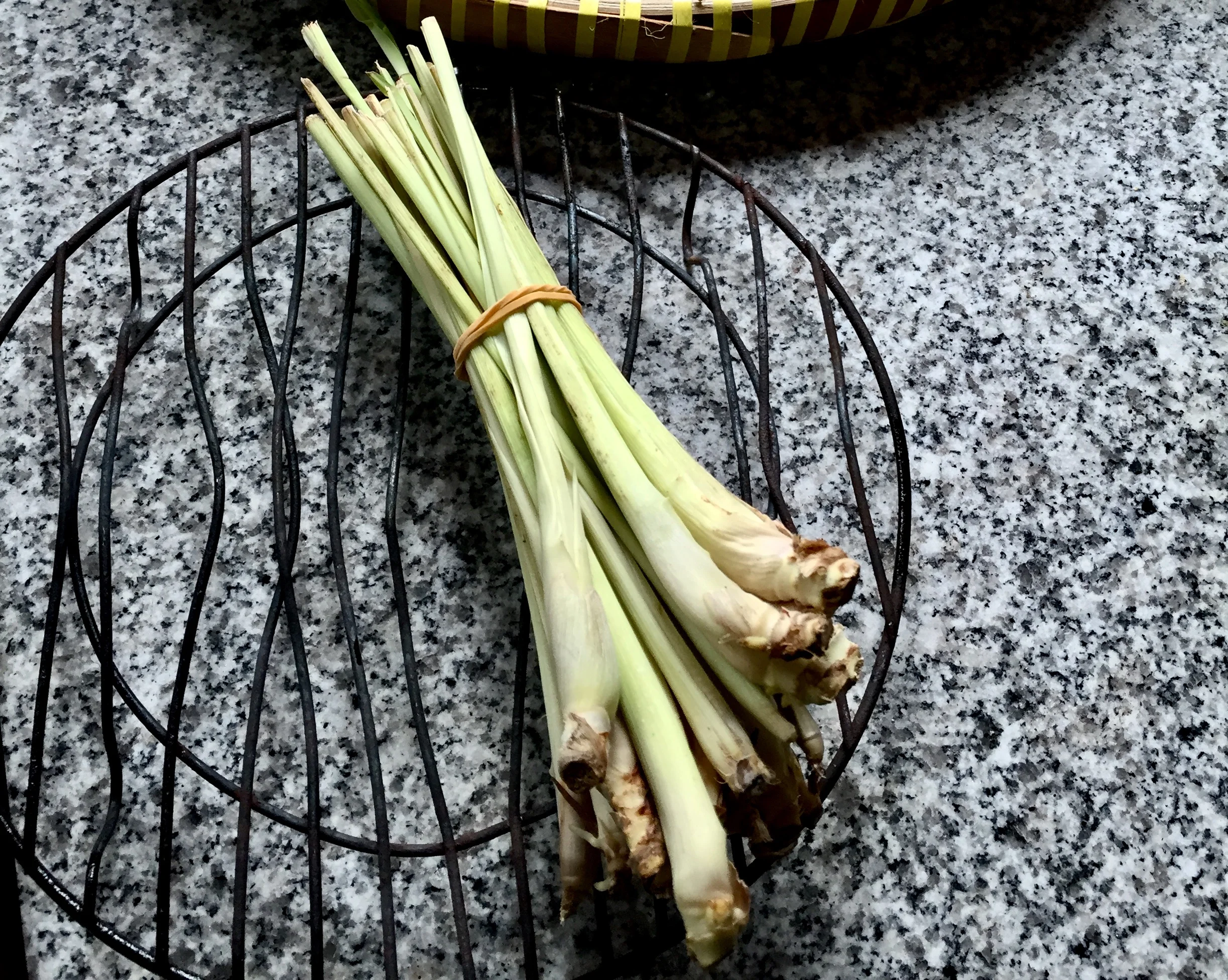 A stalk of fresh lemongrass