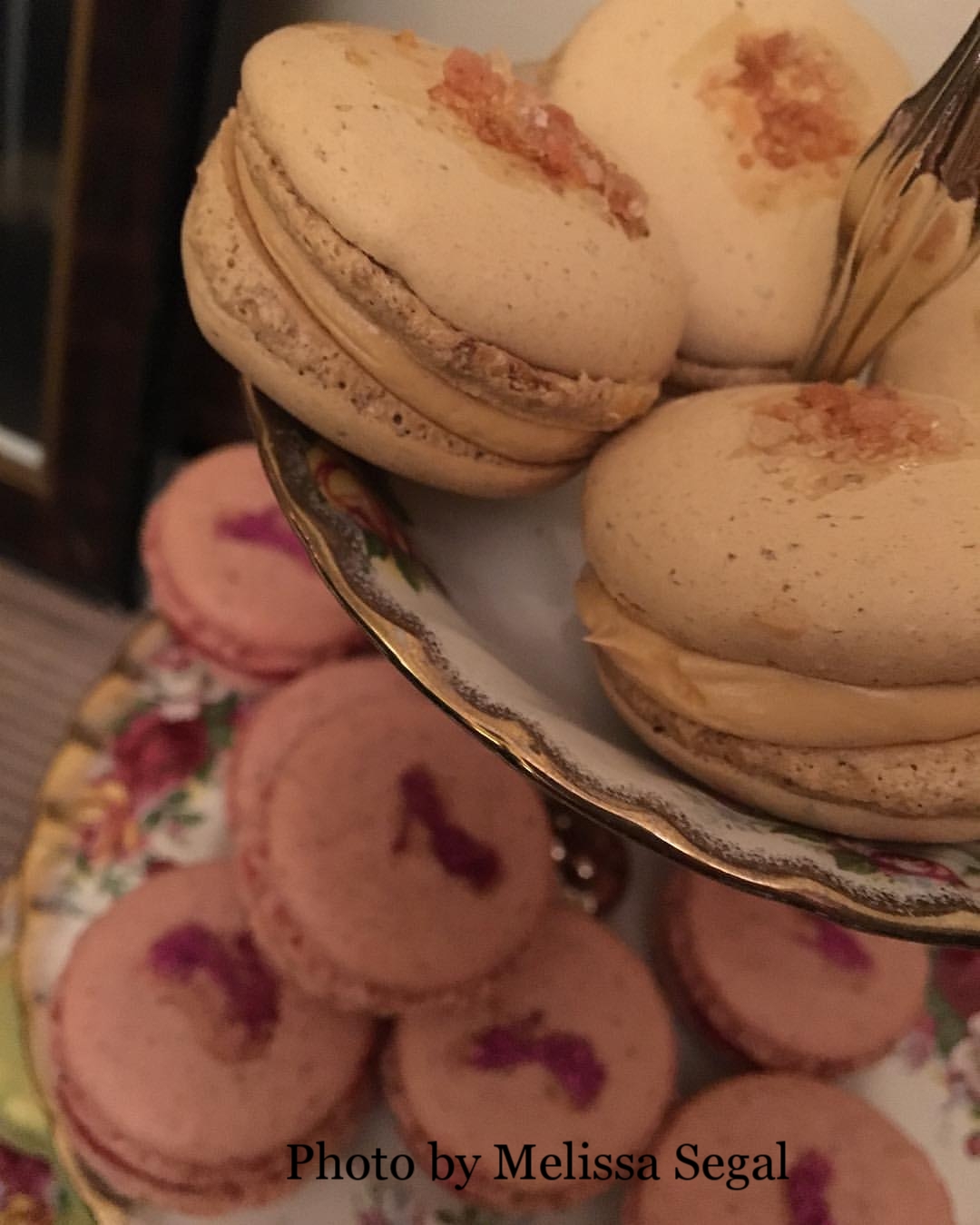 Viweing Party gallery - macarons- Melissa Segal.jpg