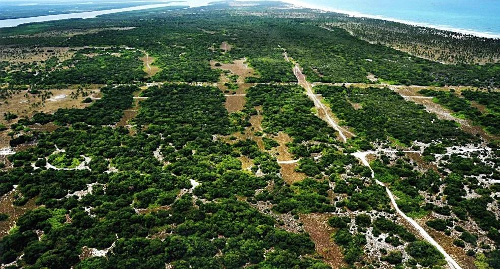 Mangue Seco, Bahia, Brazil 