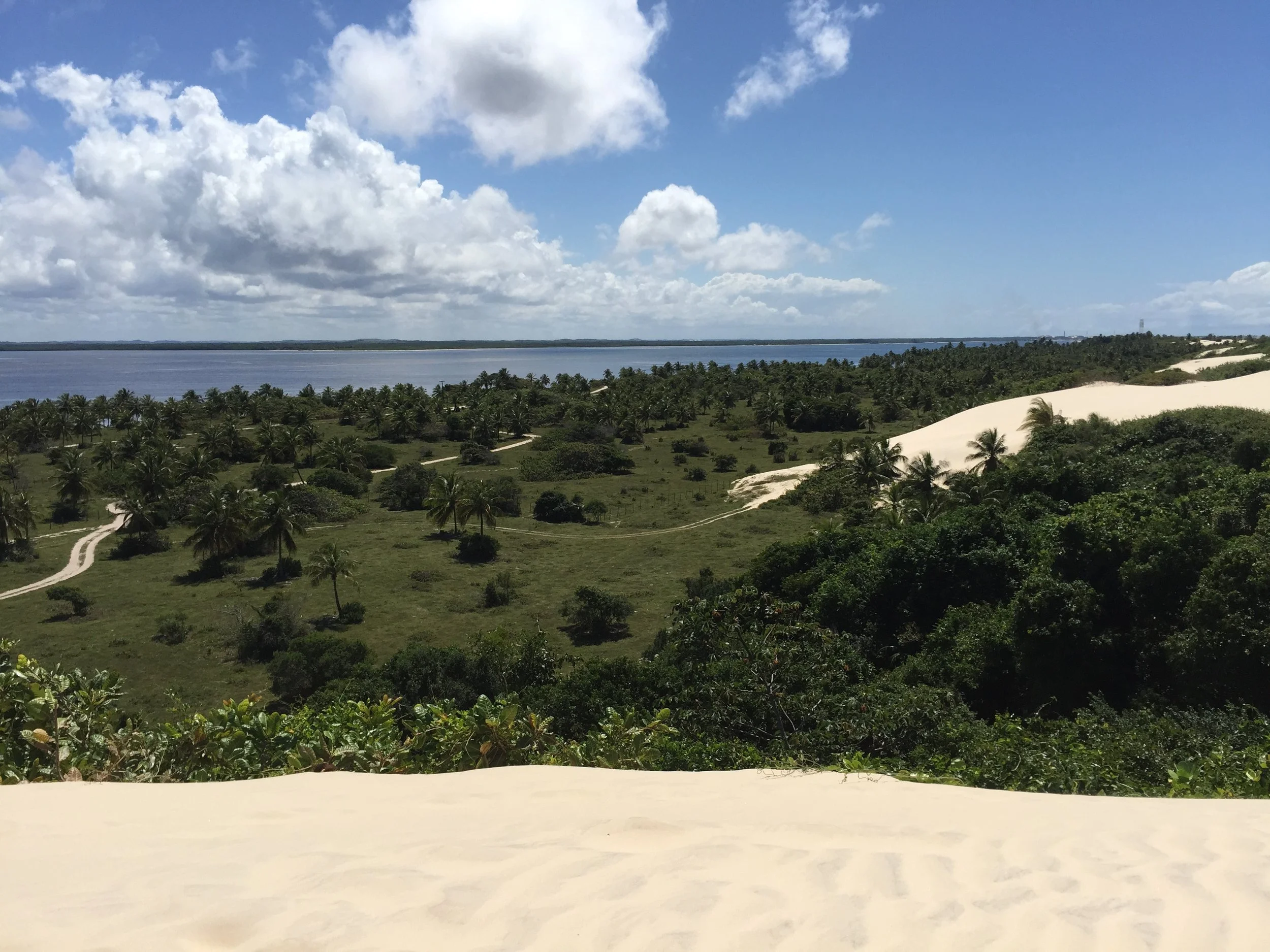 Copy of IMG_8980.JPG