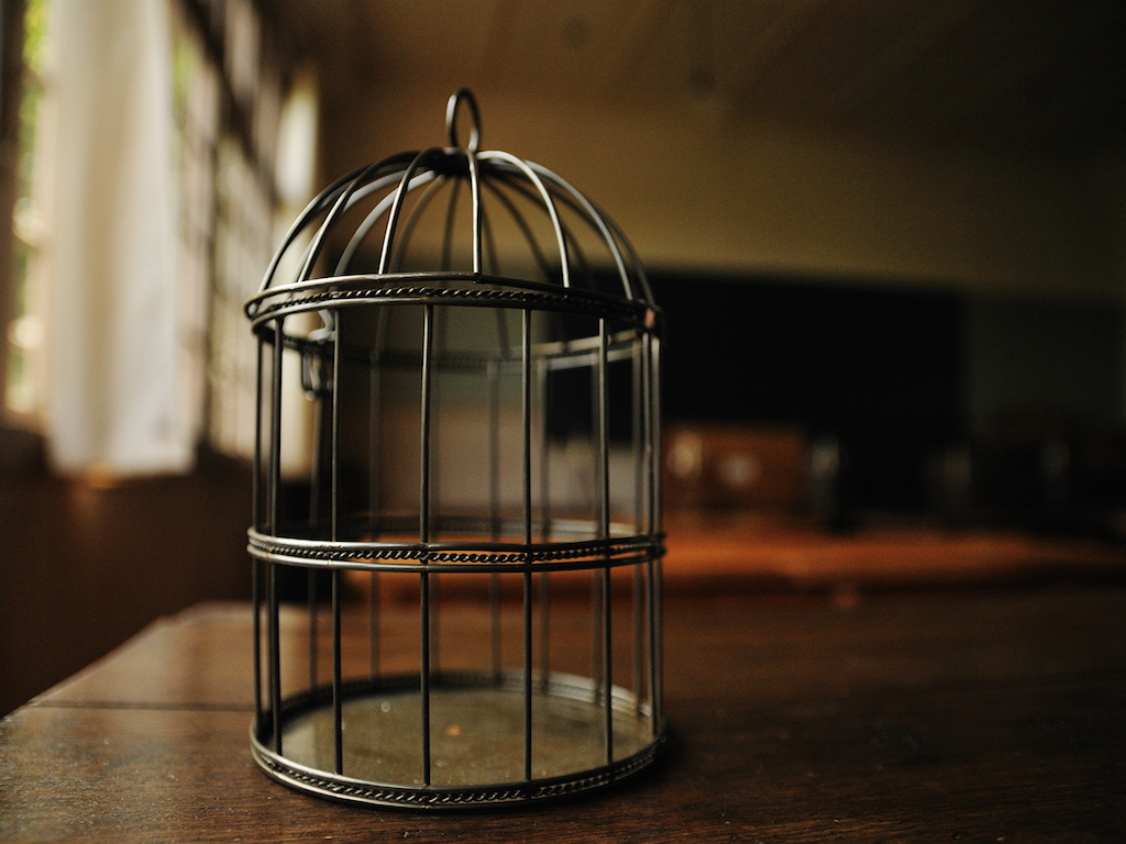 Caged-Bird.jpeg