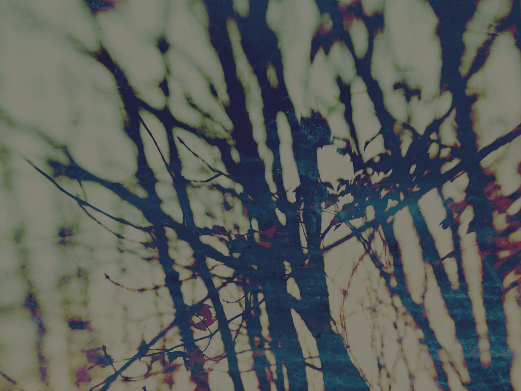 Lost---Color.jpg