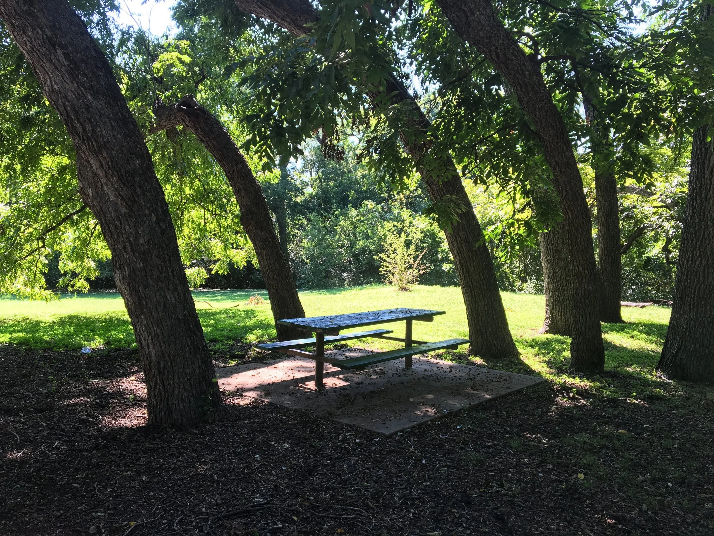 FtWTTPicnicTable.JPG