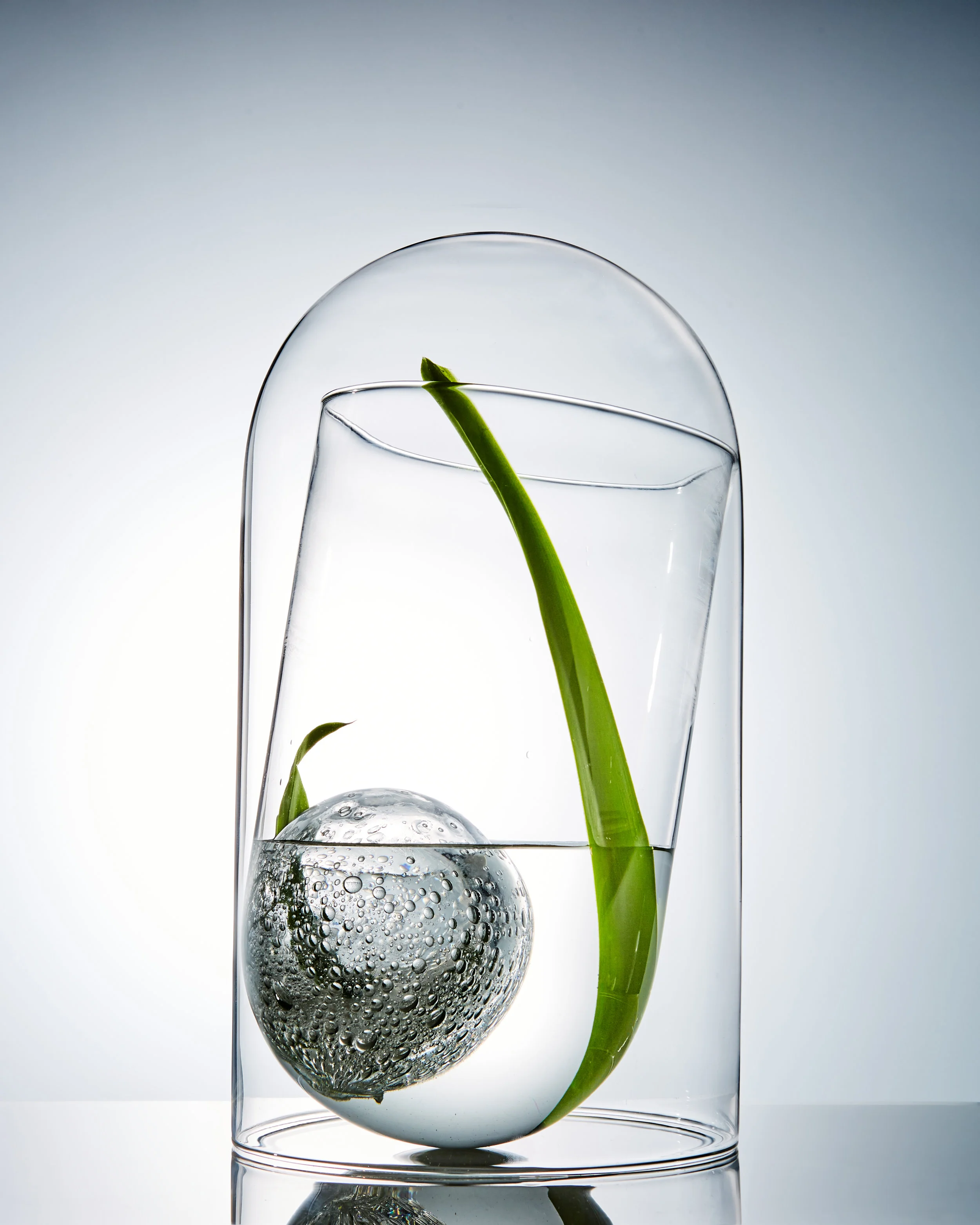 roundglass-bubbleball-leaf.jpg