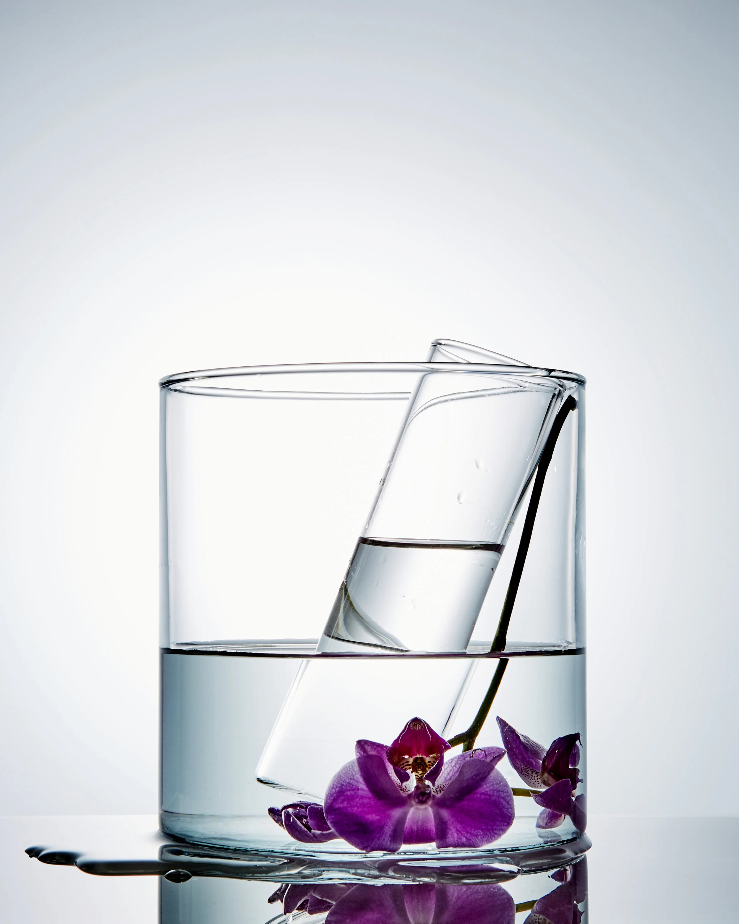 glass-orchid.jpg