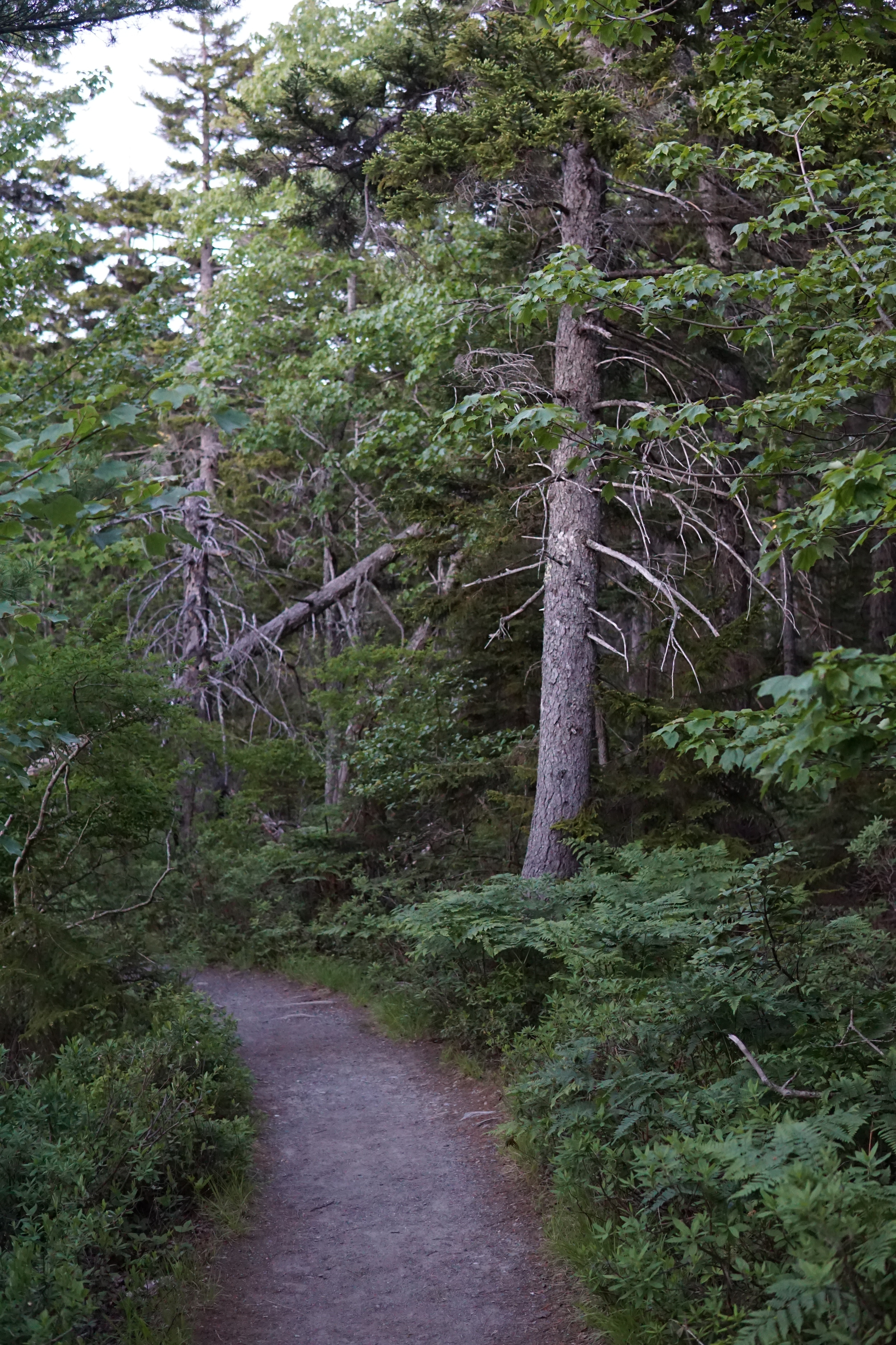 "the other kids ran 4 miles and we thought that was crazy"