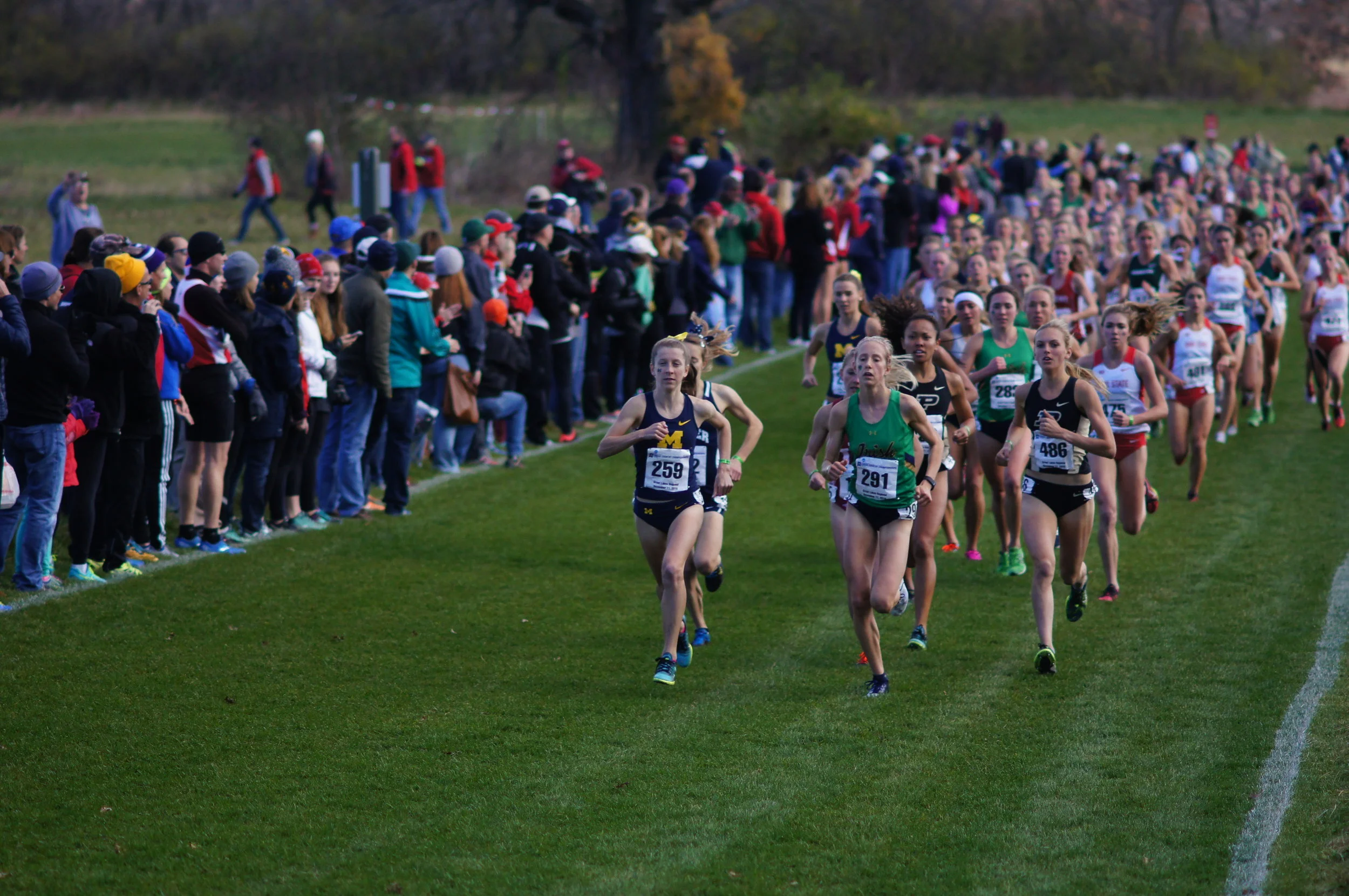 NCAA GREAT LAKES REGIONAL 2016