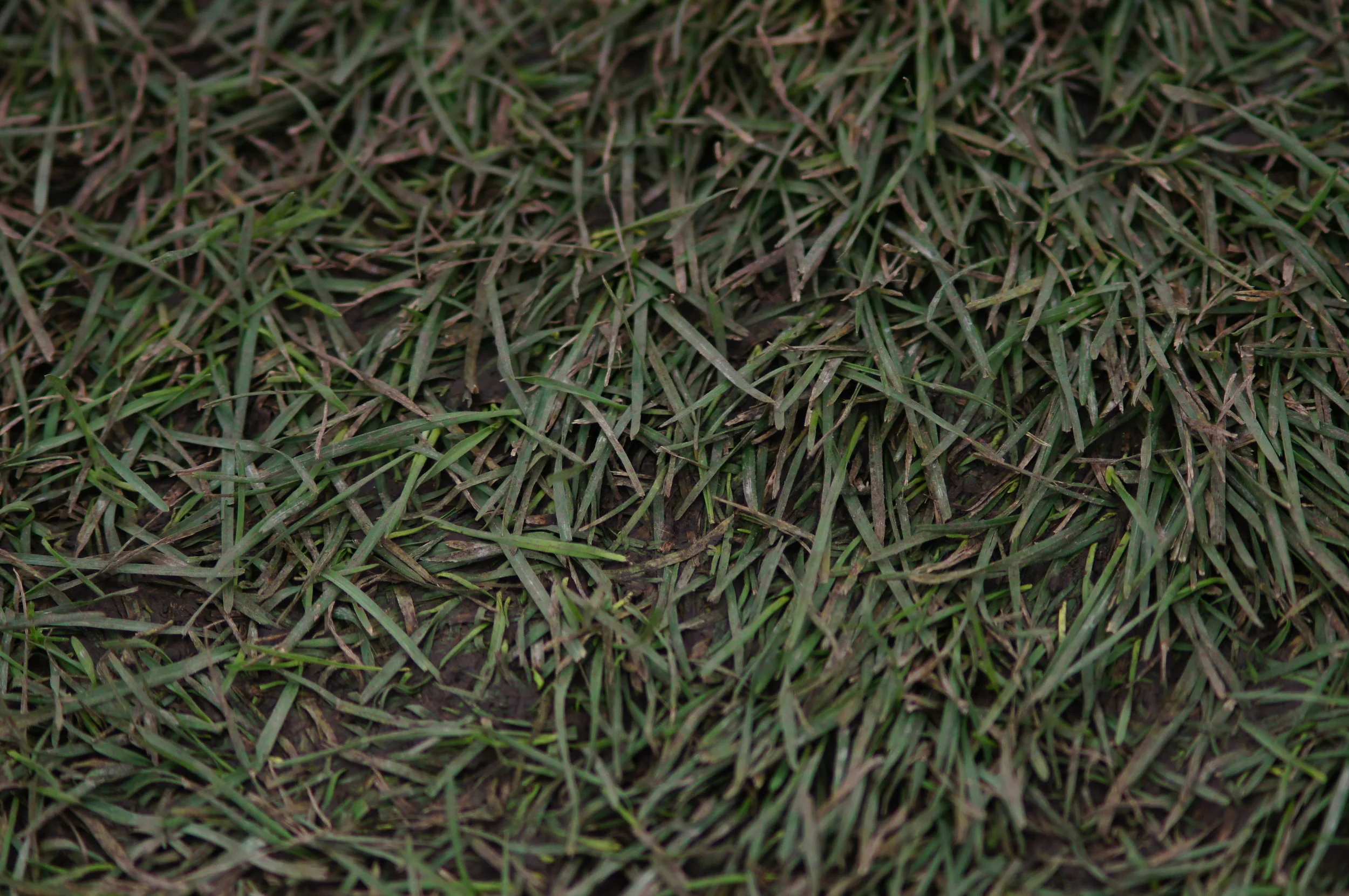 THE FULL LIST OF EVERY RUNNING RELATED FILM WORTH WATCHING