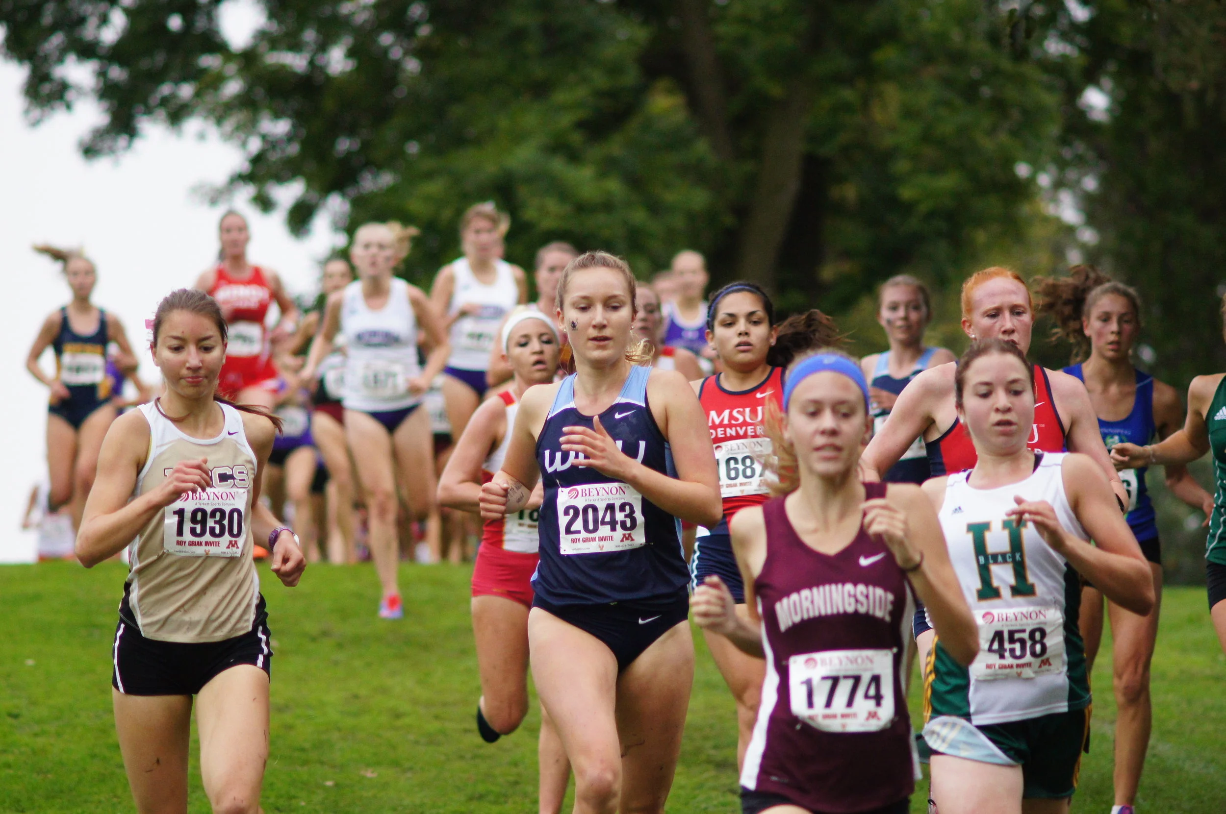 What cross country is to me