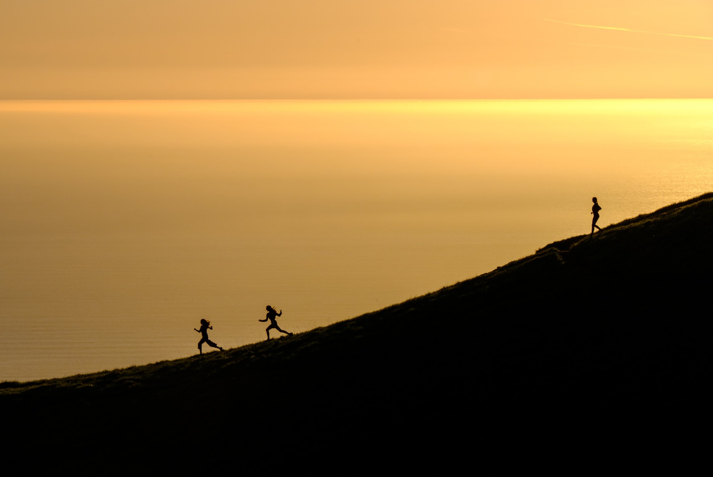 Why do we run?