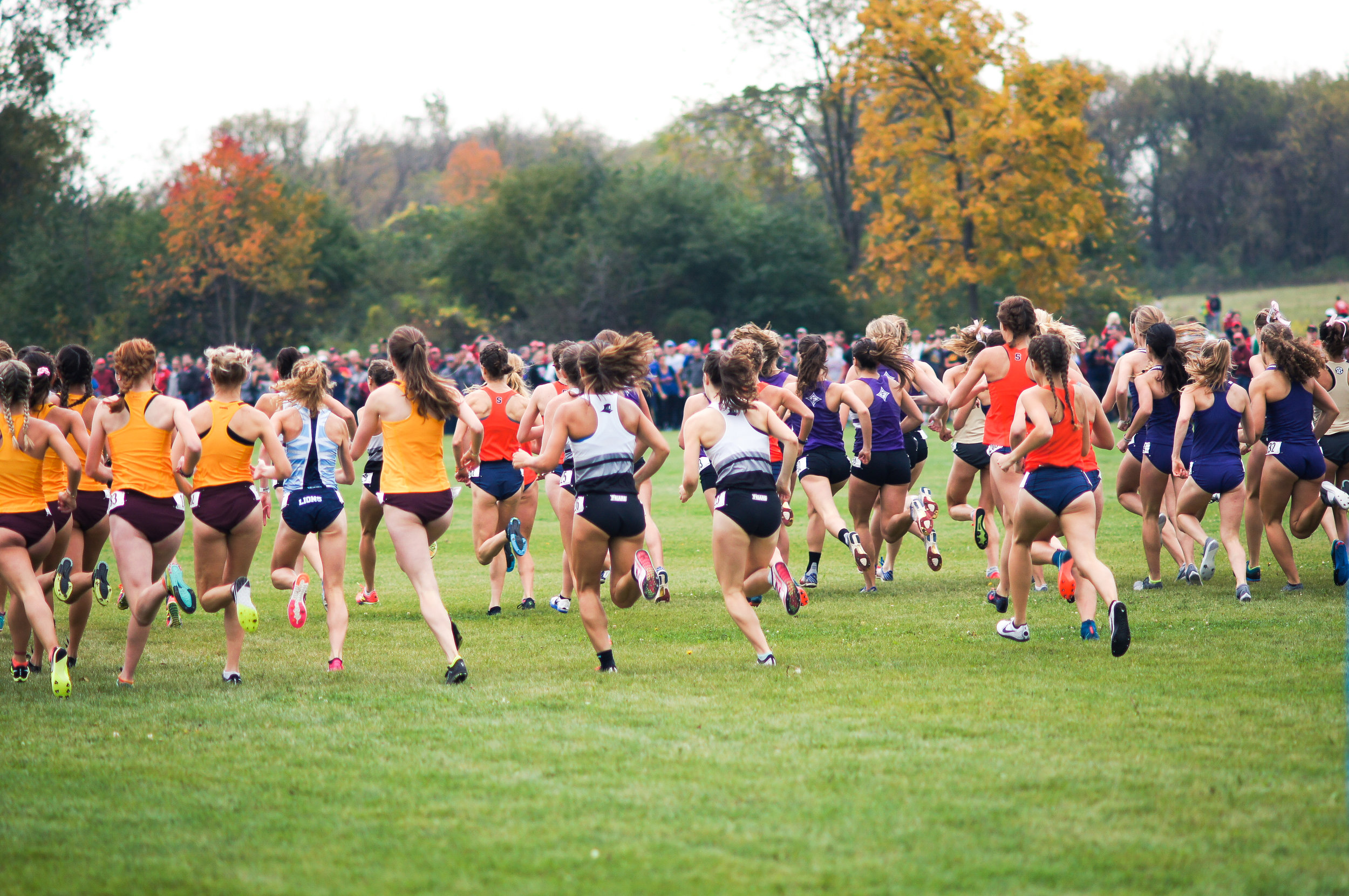cross country through the eyes of someone who does not enjoy running.