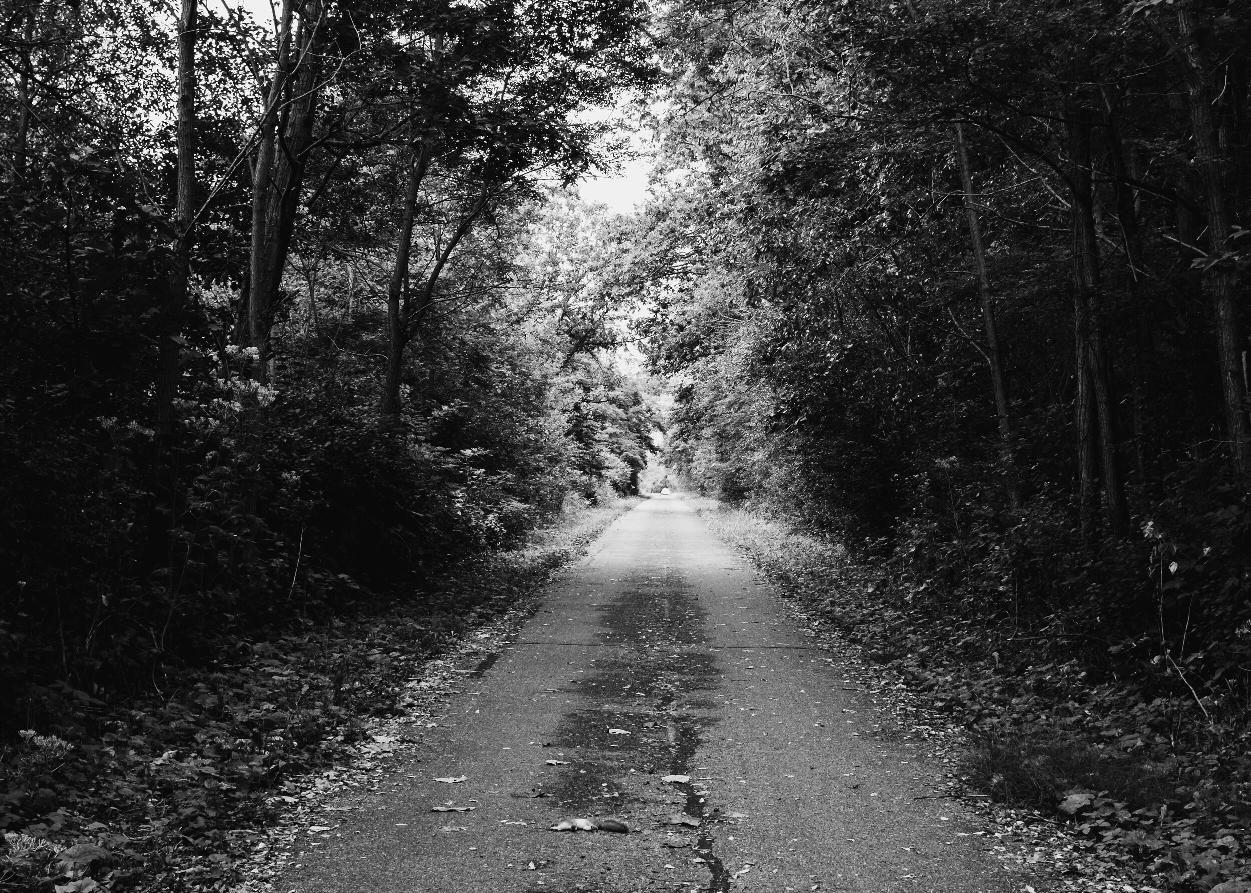 chapters left to be written.