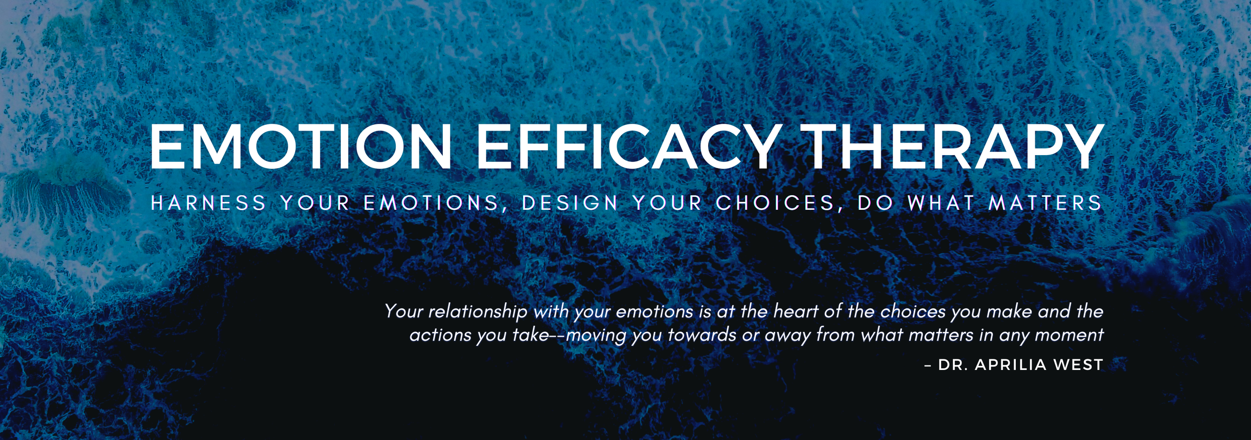 emotion efficacy therapy.png