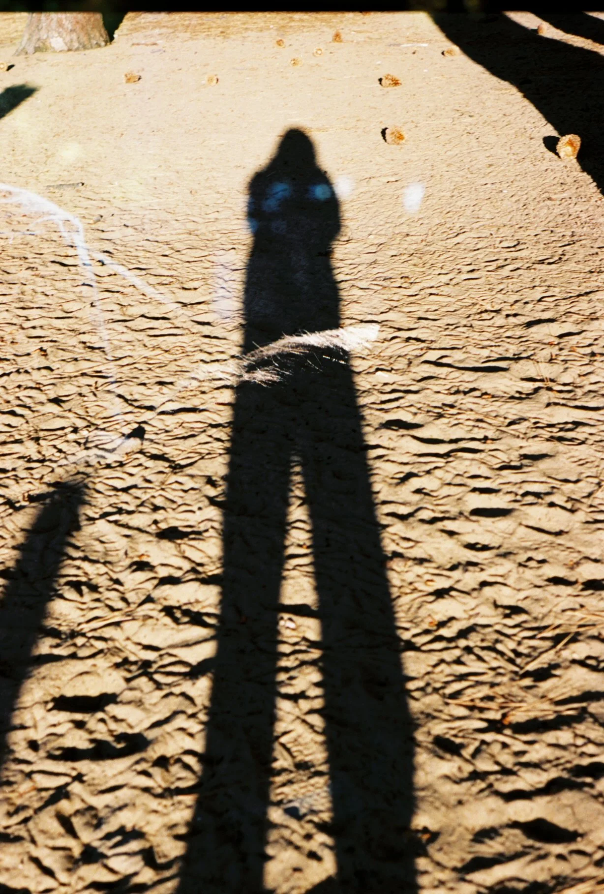 6558COM_6558COM-R1-054-25A copy.jpg