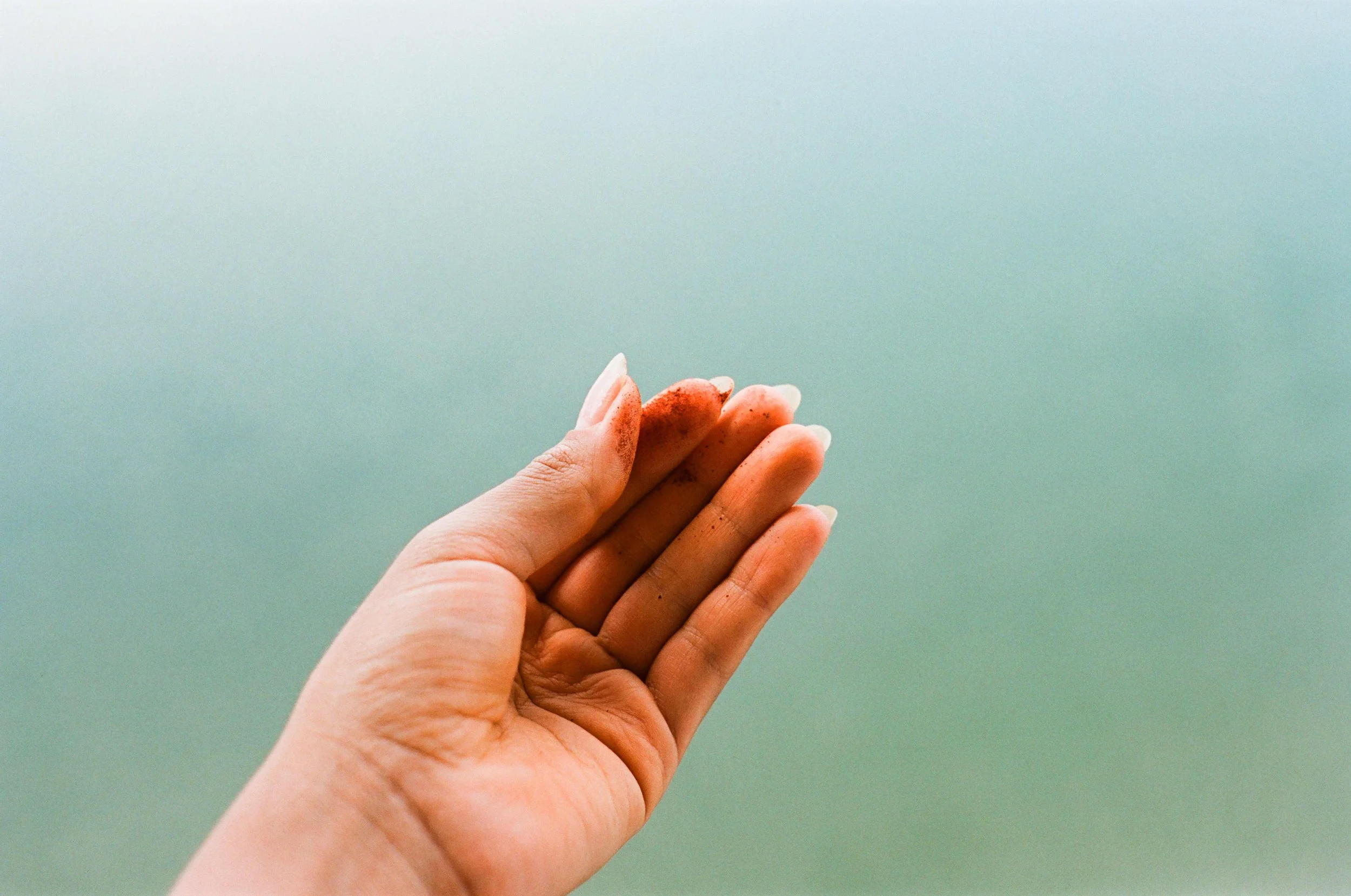 Hands-holding-Achiote-Powder,-Everglades,-Miami,-Florida-April-2024-by-Nicole-Combeau.jpg