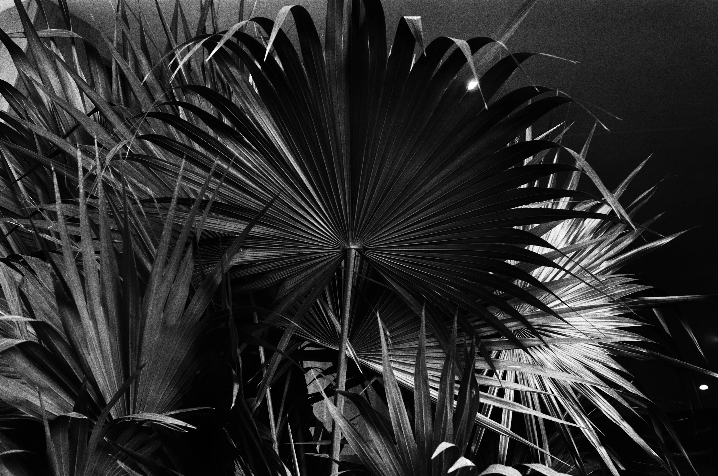 Nicole Combeau, When We Surrender, Artwork--6.jpg