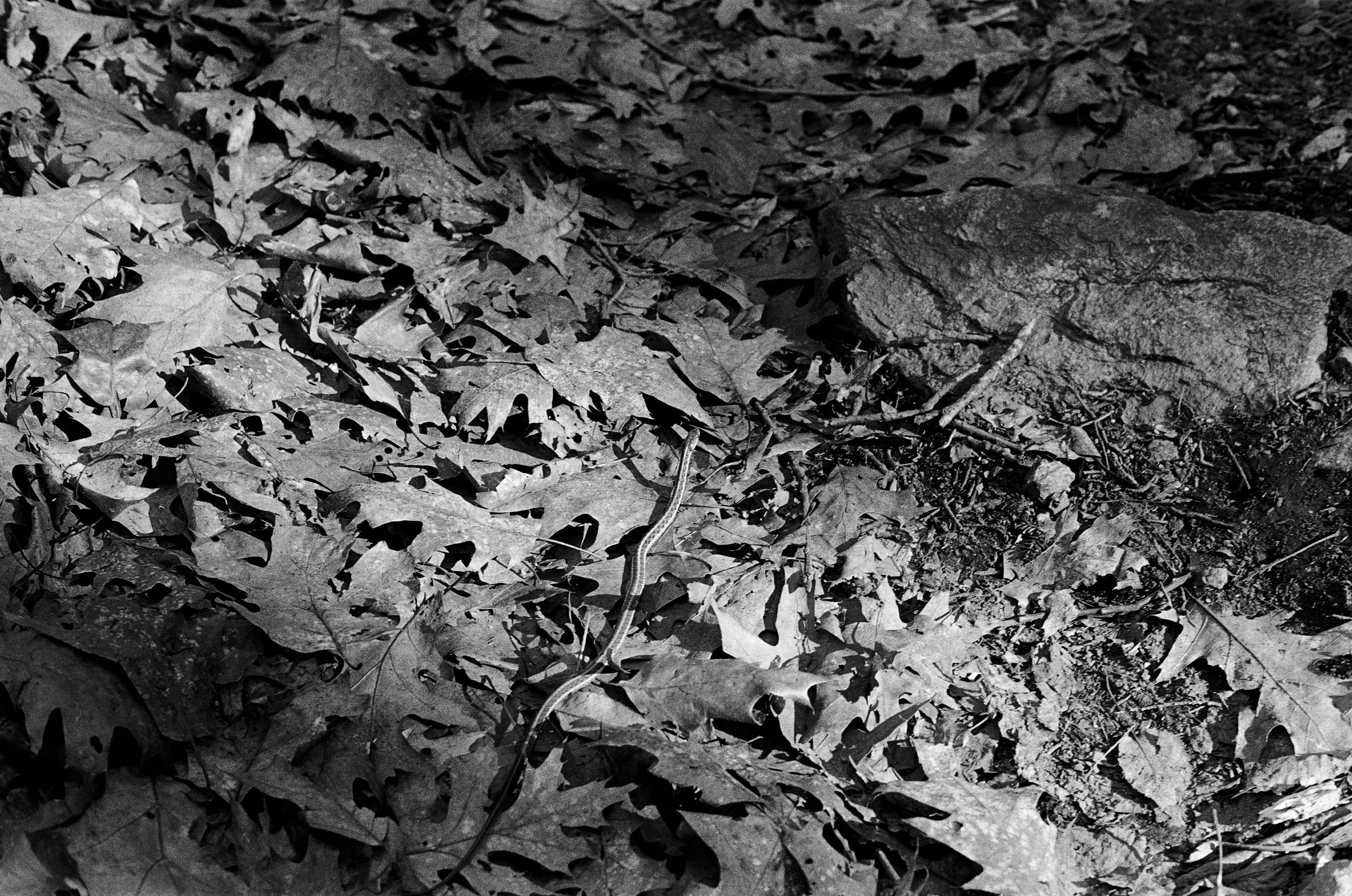 Nicole Combeau, When We Surrender, Artwork-000030380005.jpg