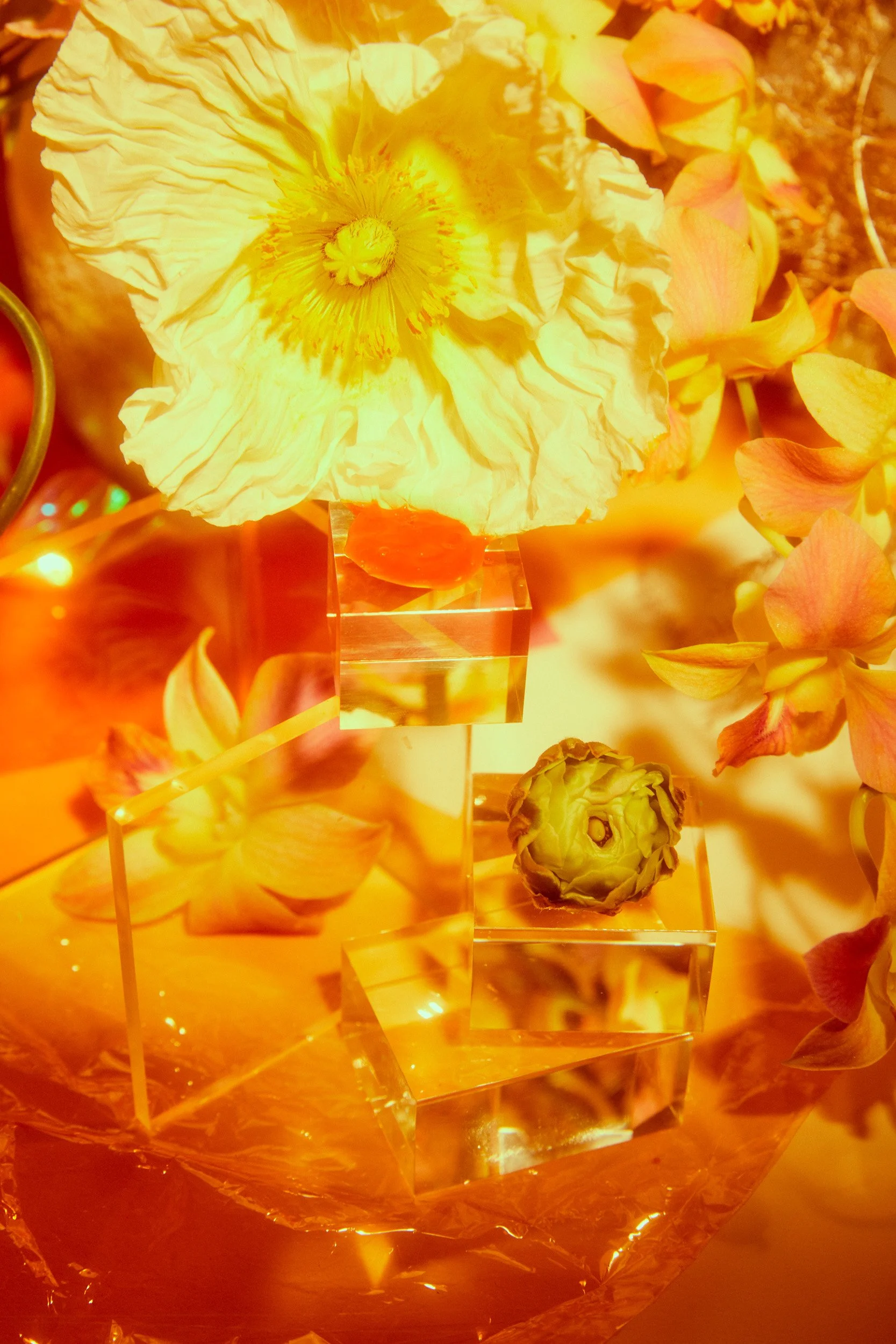 03Shot_HMK_SS21_Orange_098 1_R1.jpg