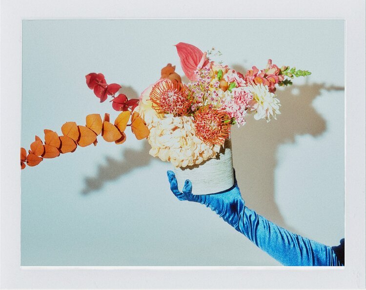 06Shot_FinchFlowers_015_film_3.jpeg
