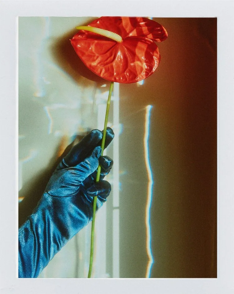 06Shot_FinchFlowers_015_film_4.jpeg