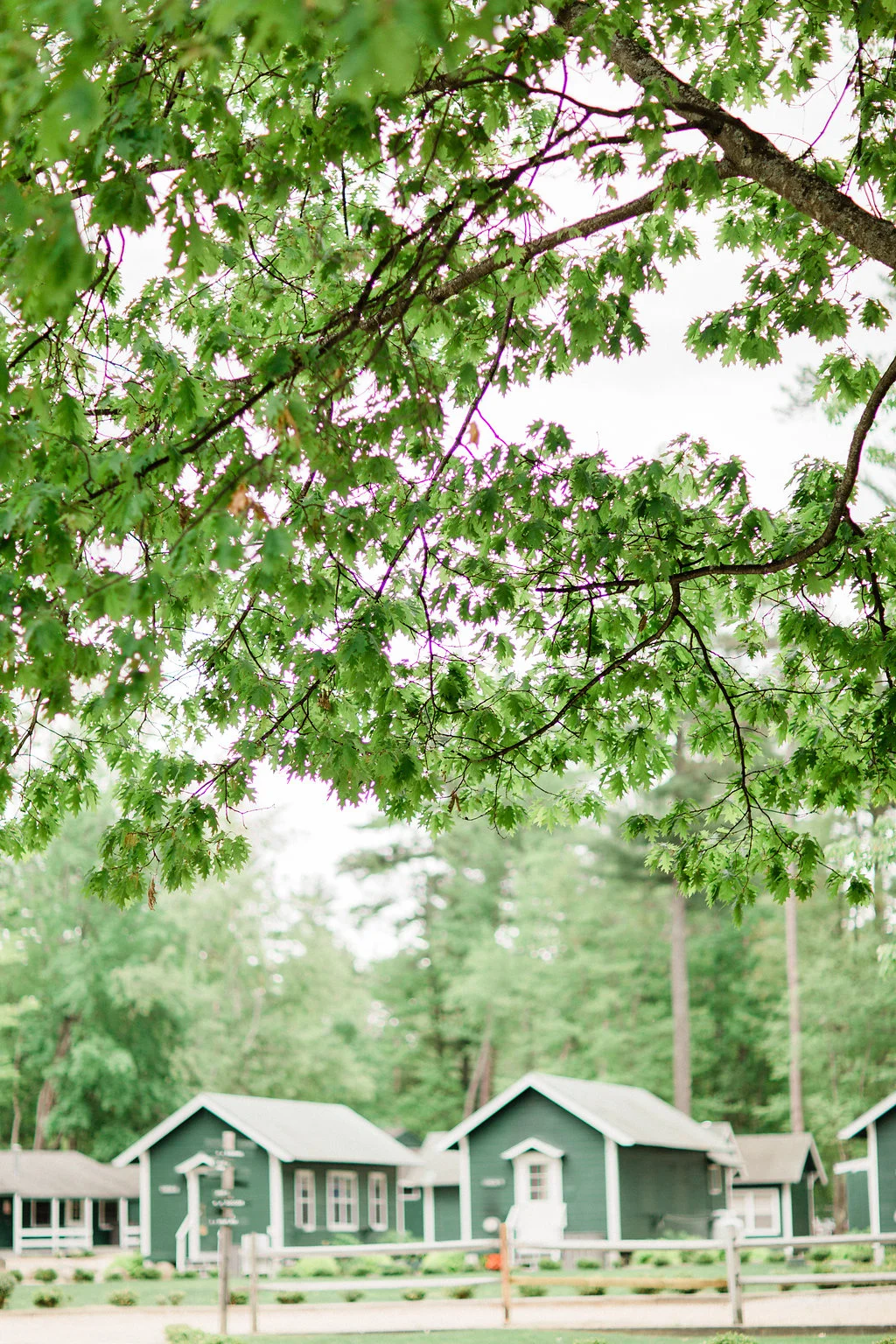 jharperphotography_2018-16.jpg