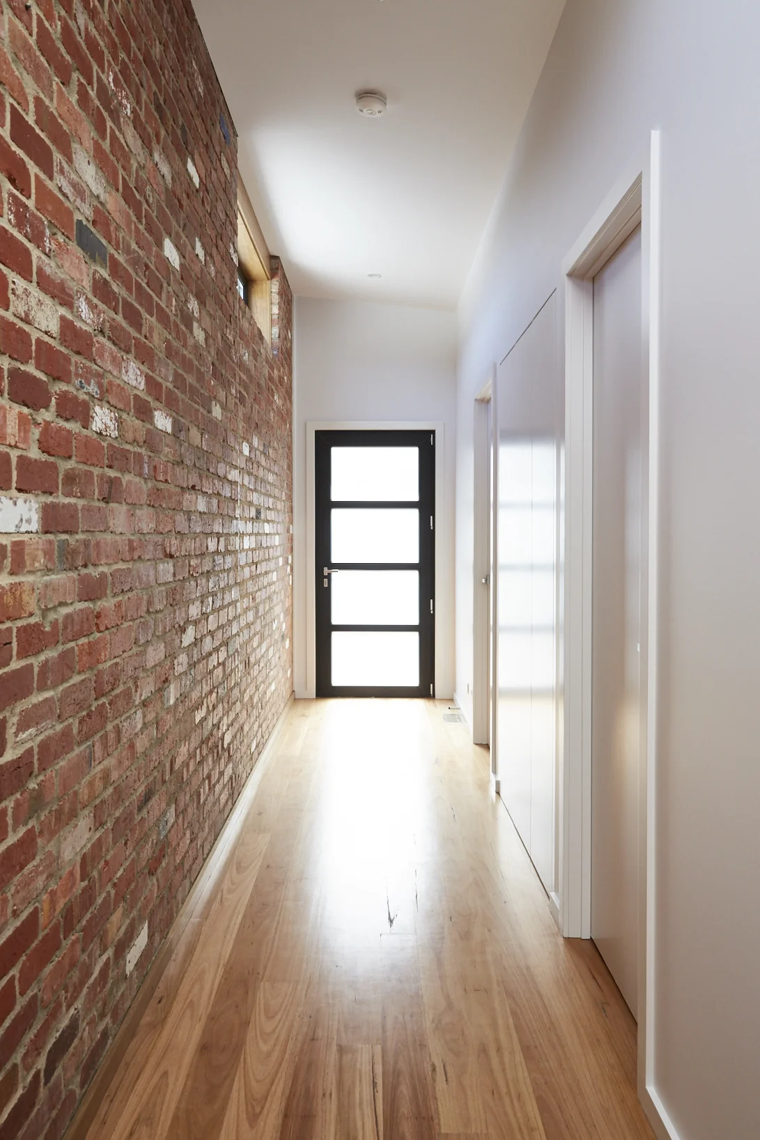 Collendina_0007 1.jpg