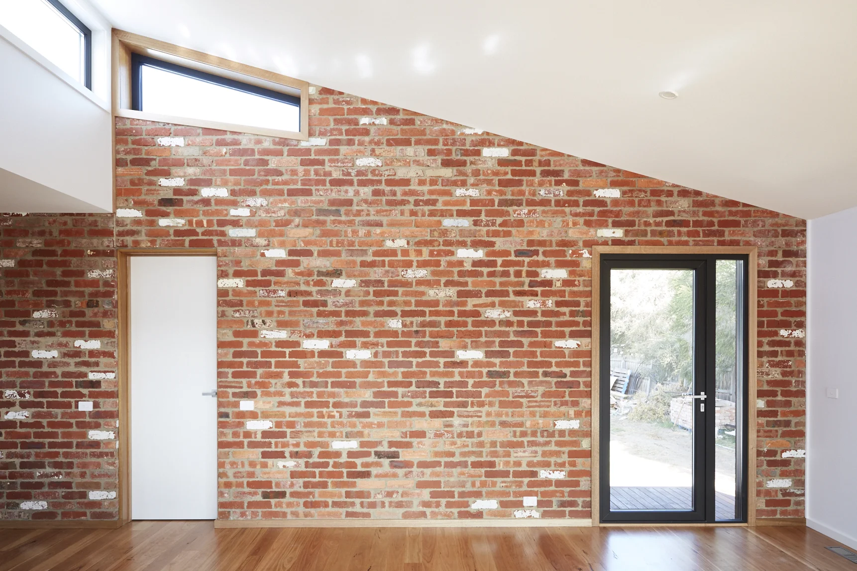 Collendina_0097 1.jpg