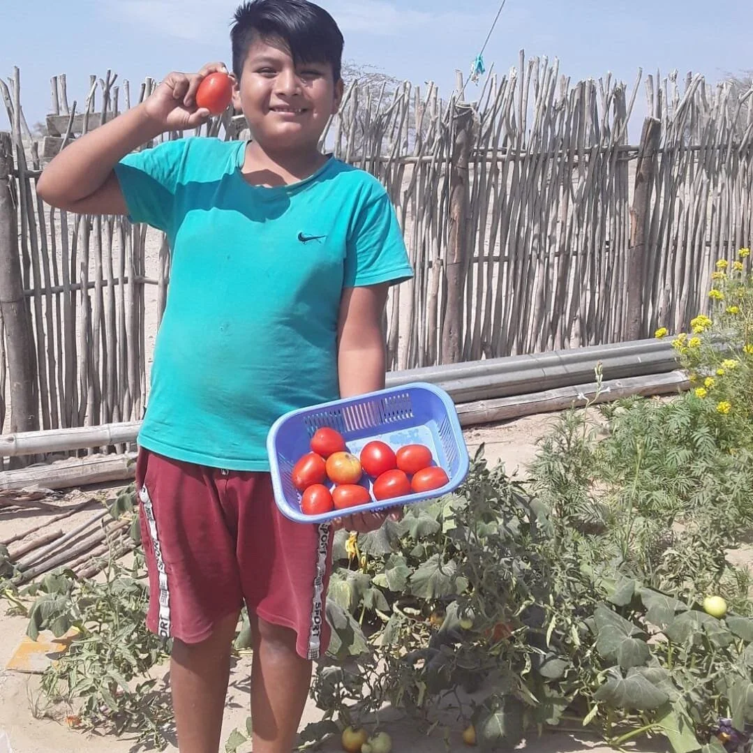 Sembrando nuestro propio alimento