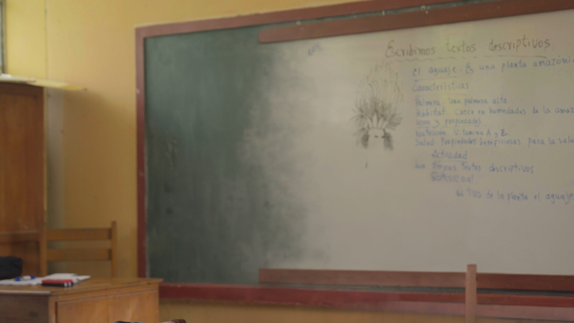 YANGO - landing (4).png