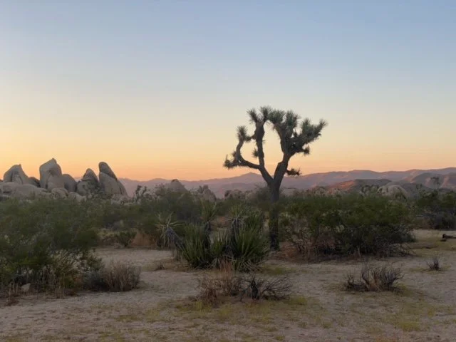 INTUITIVE &amp; SACRED FEMININE RETREAT