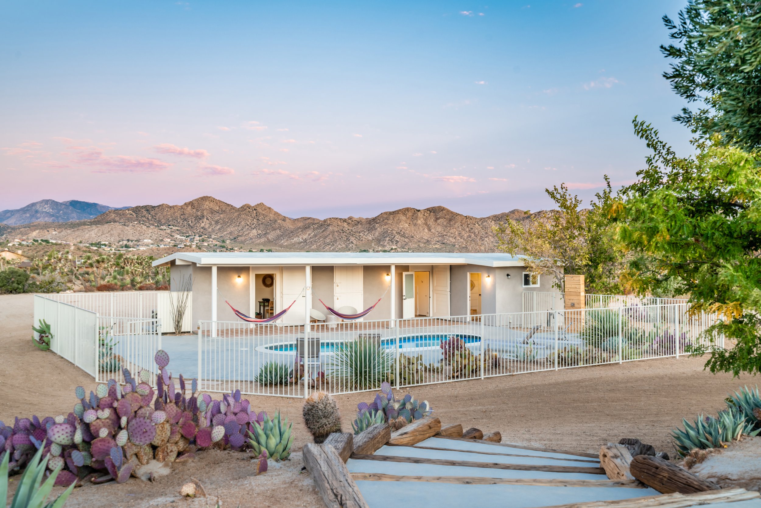 IGNITE : Under the Cactus Moon- begin again on your own terms