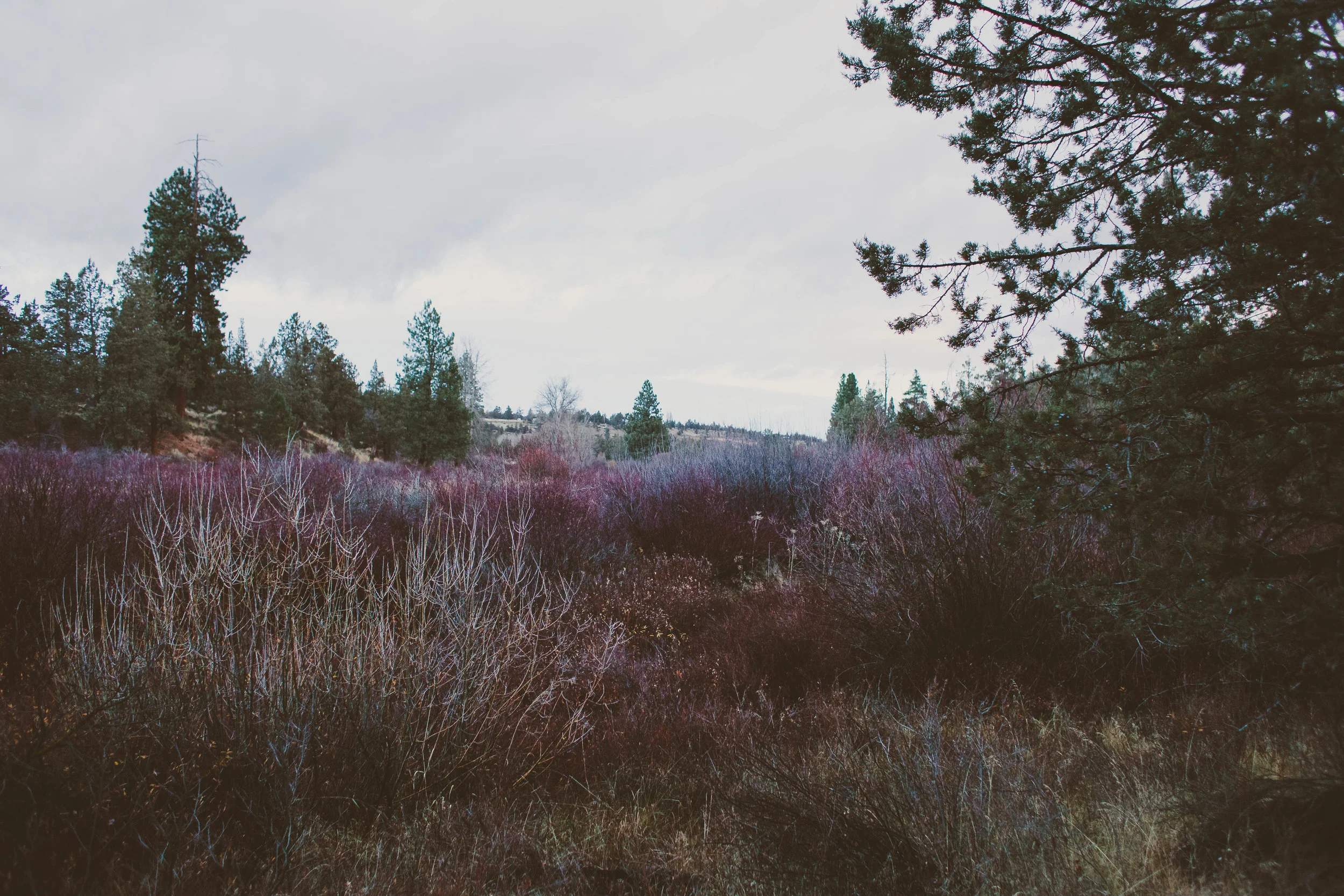 Camping at Tumalo State Park Bend Oregon