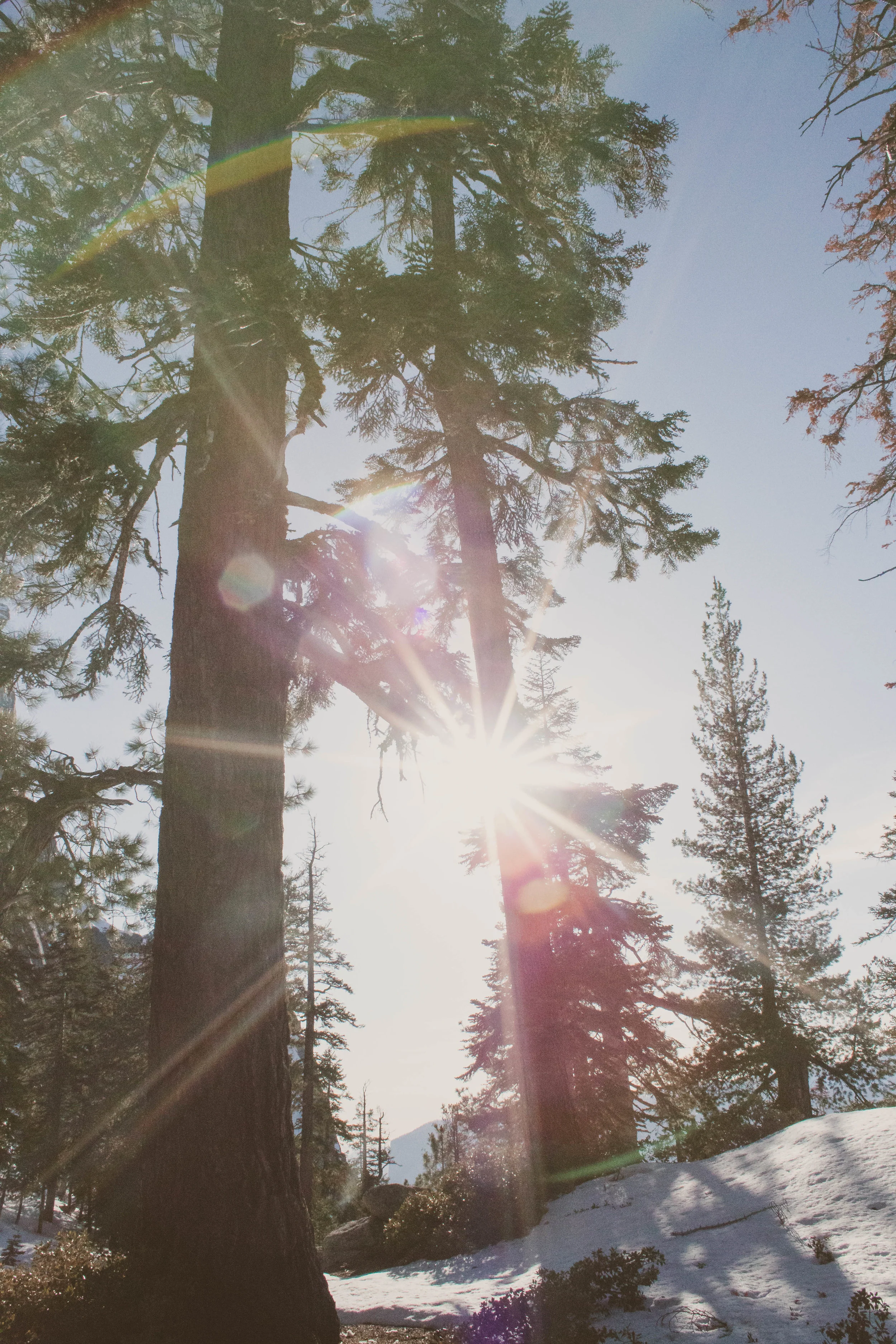 Winter in Yosemite