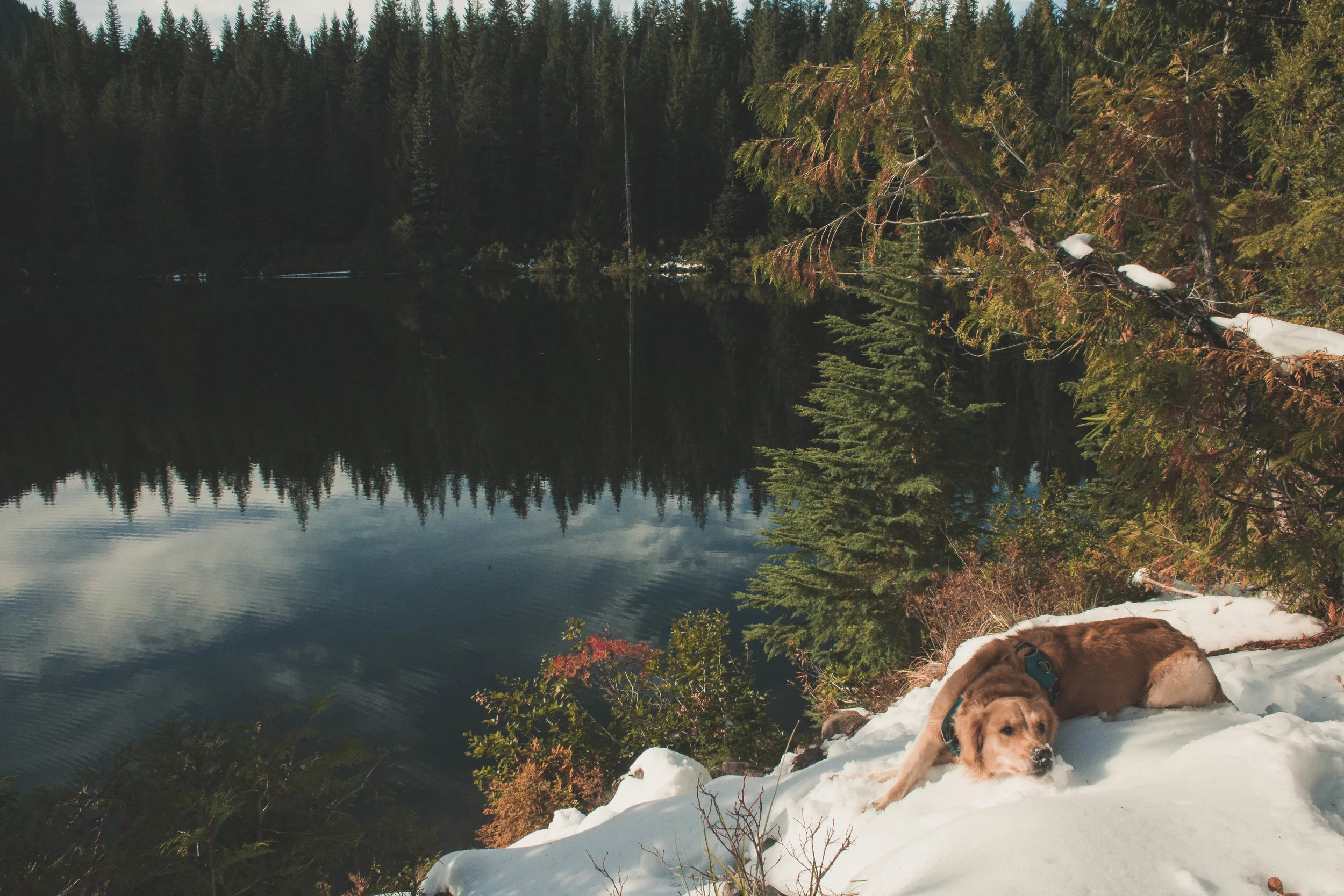 MtHoodBurntLake-22.jpg