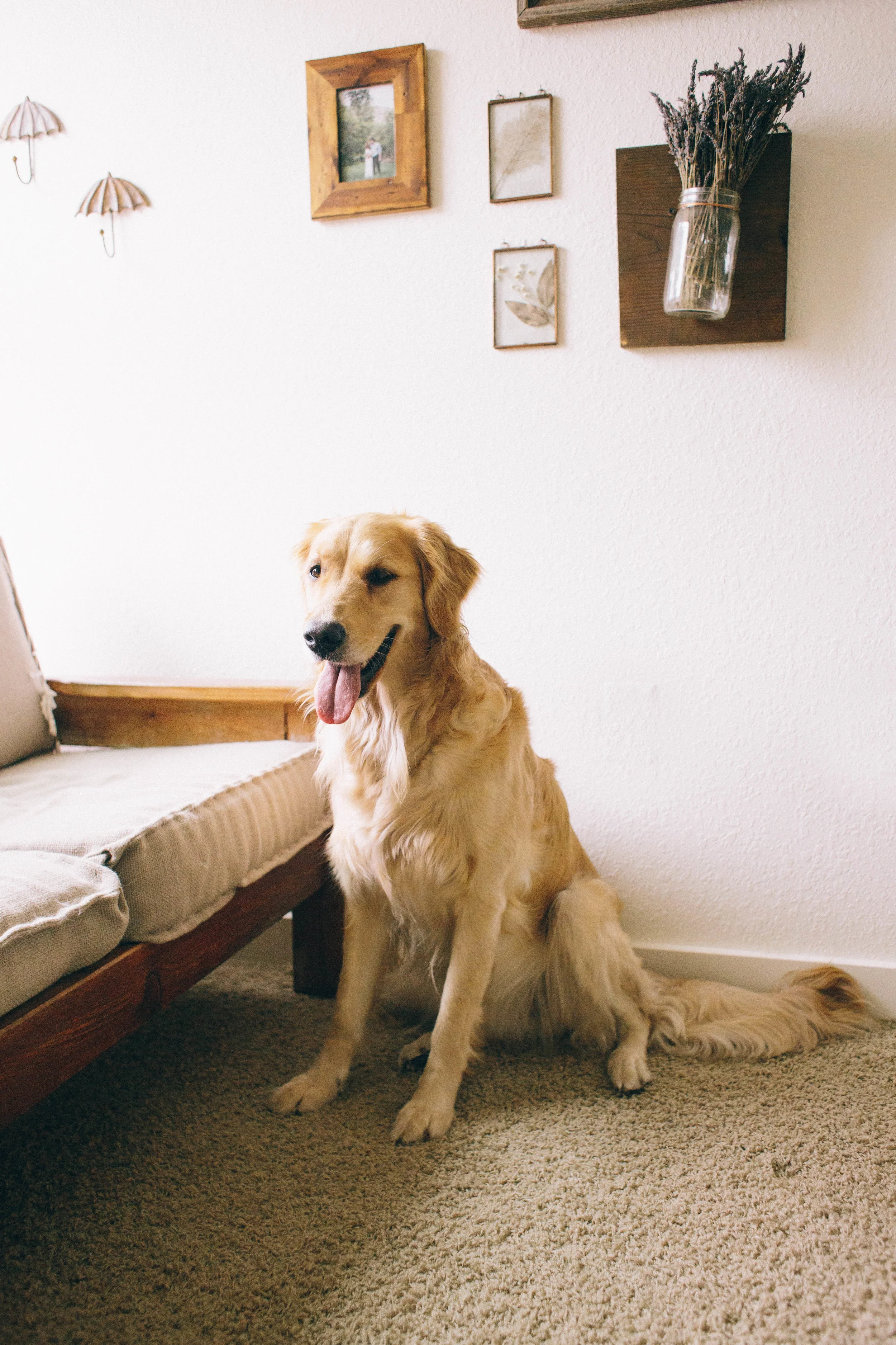 Tucker+Shiloh-4.jpg