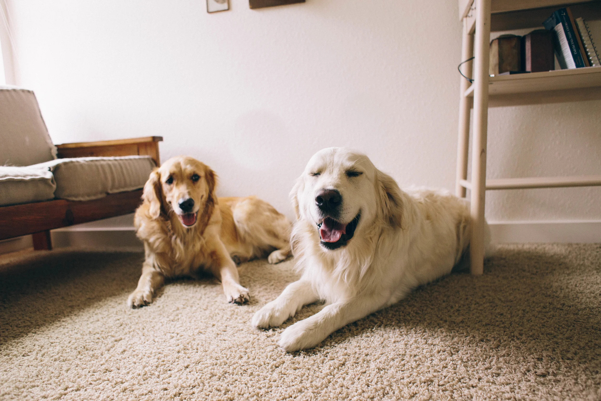 Tucker+Shiloh-10.jpg
