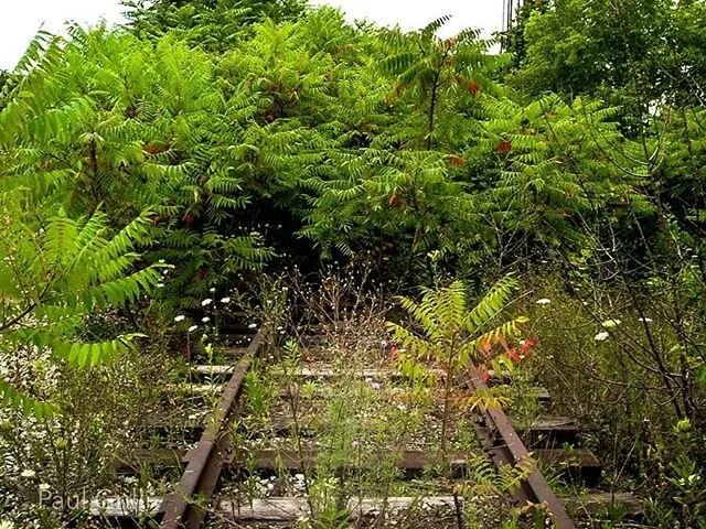 ORIGINAL CONTENT: US Steel Ohio Works - Youngstown, O. circa 2004 
These might be the first photos I ever took, this was right after I got my first camera. Funny story how I got that camera, ask me about it if you know me and know how to keep your mo
