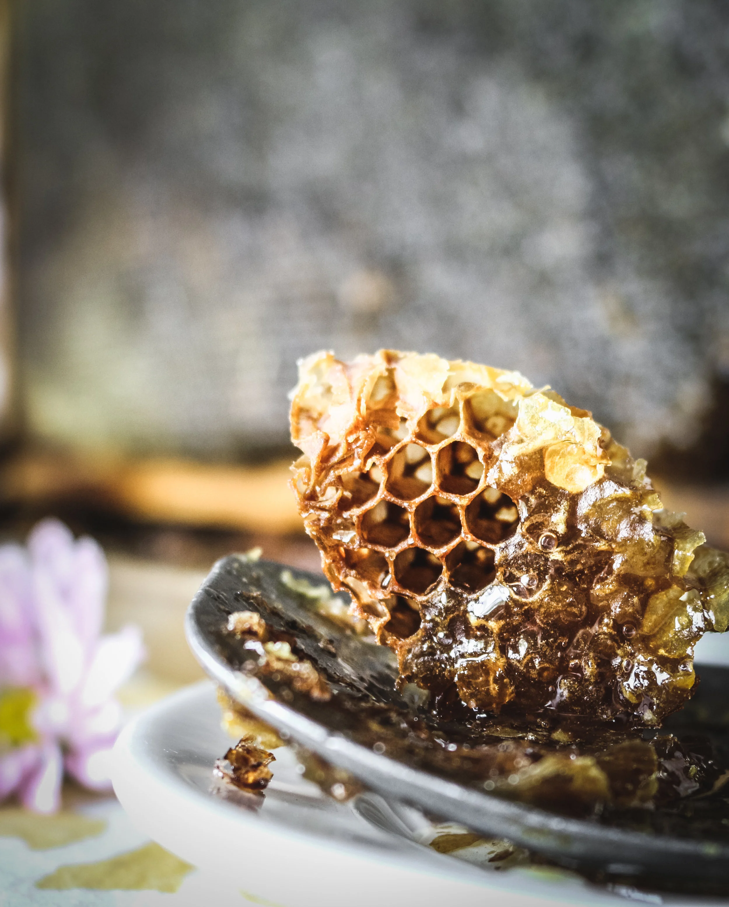 restorative kitchen raw honey 3.jpeg