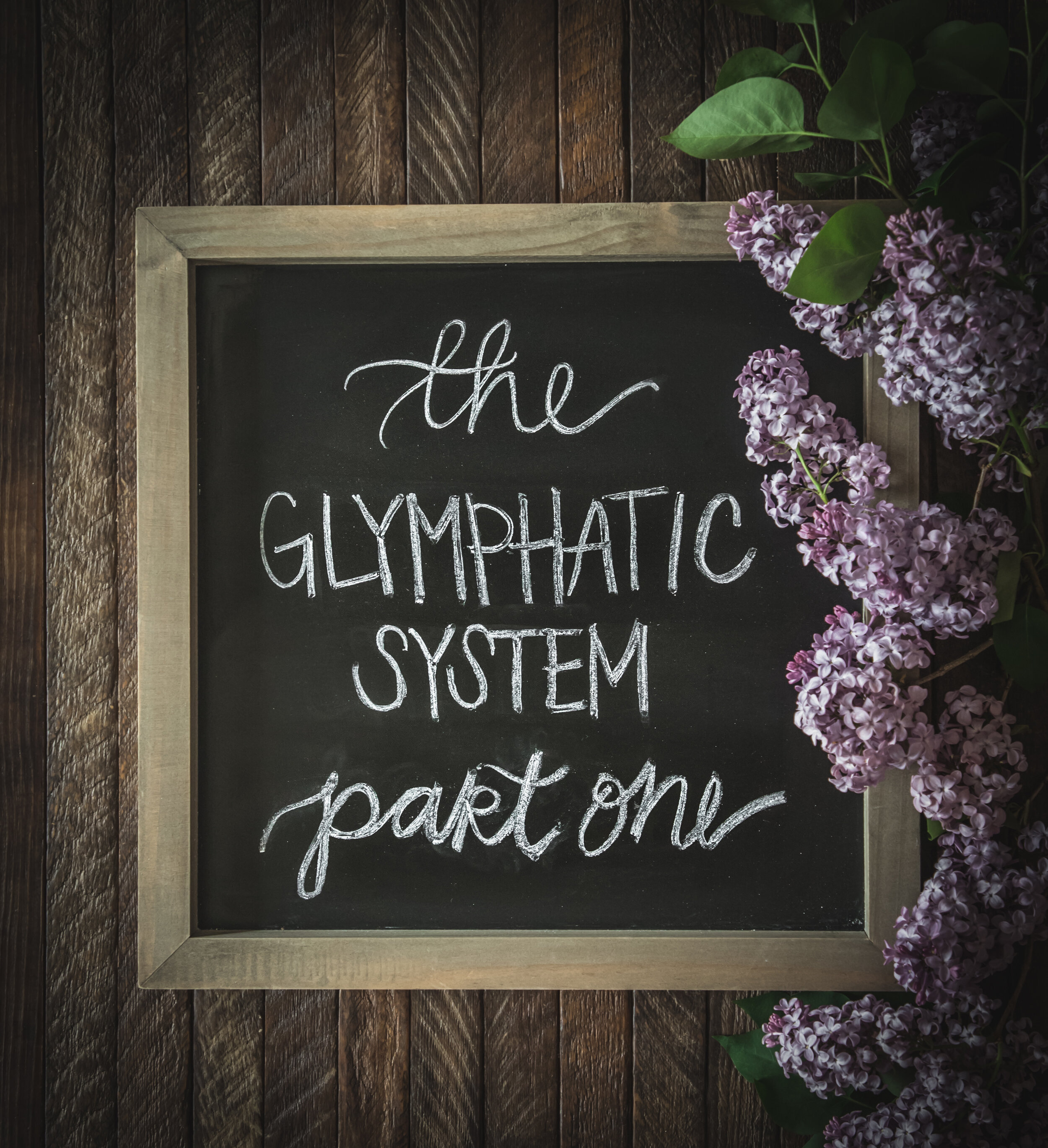 The Neurological Waste Removal System – Glymphatics pt. 1 