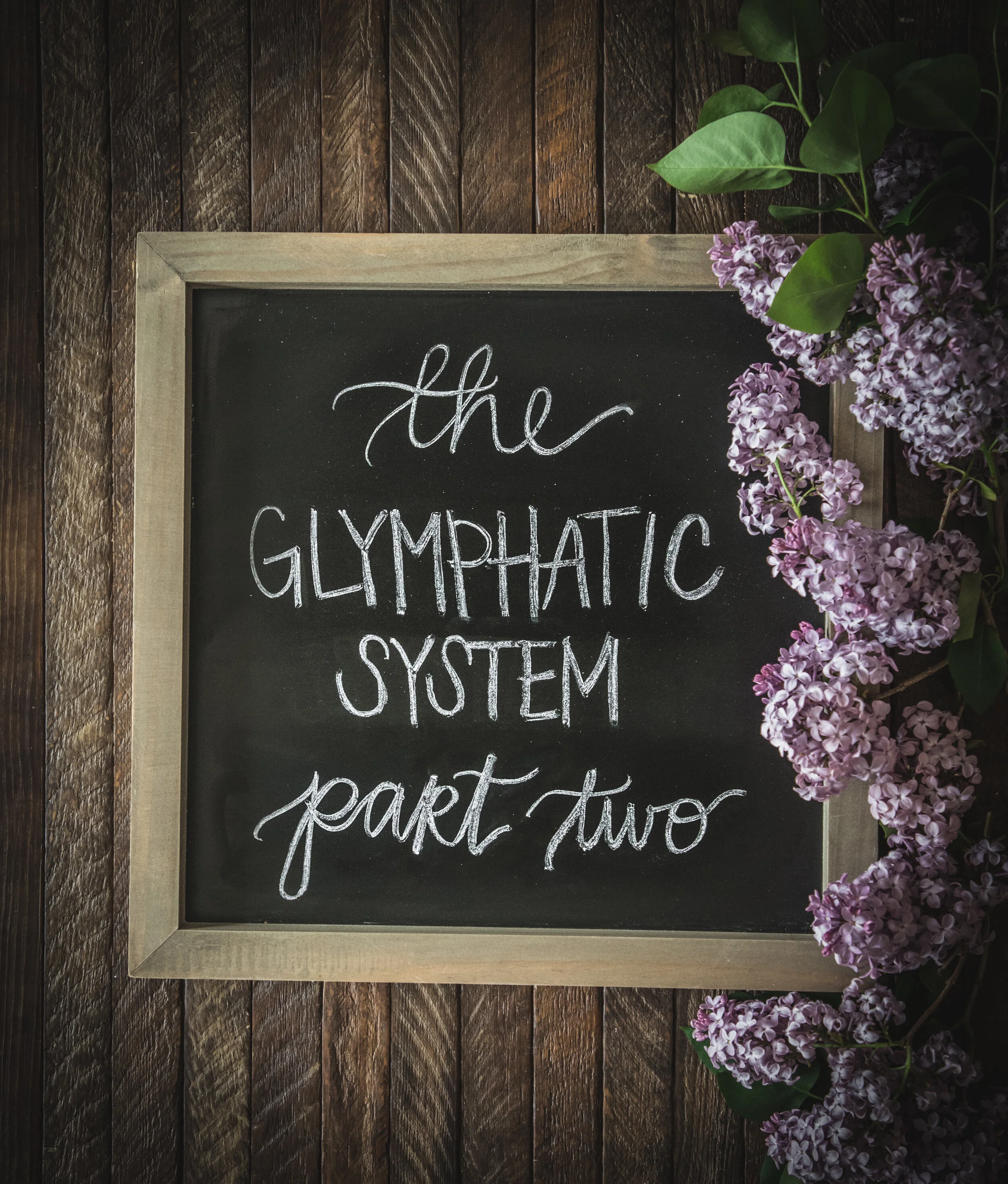 The Glymphatic System- Part Two