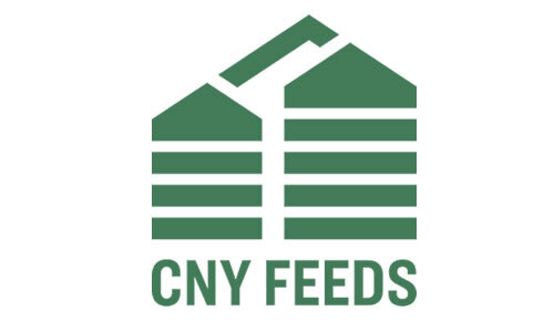 CNY Feeds.jpg