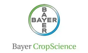 bayer.webp