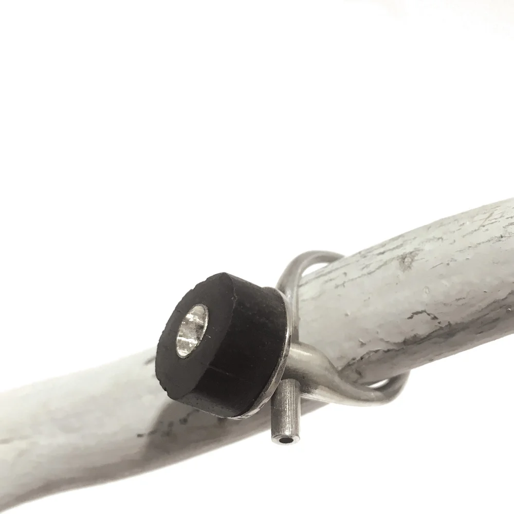 mam mau ebony on antler.jpg