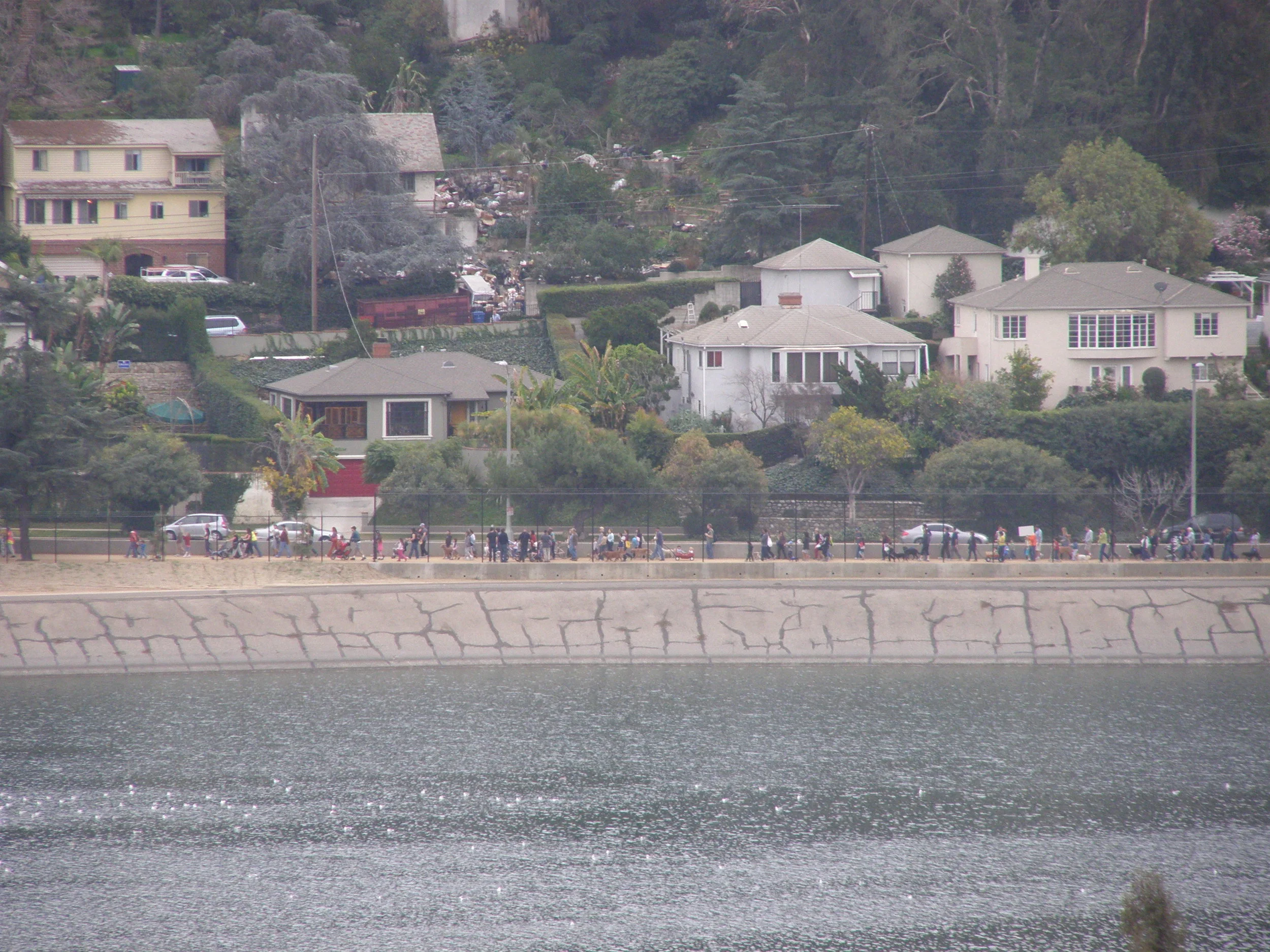 Silver Lake Reservoirs Conservancy